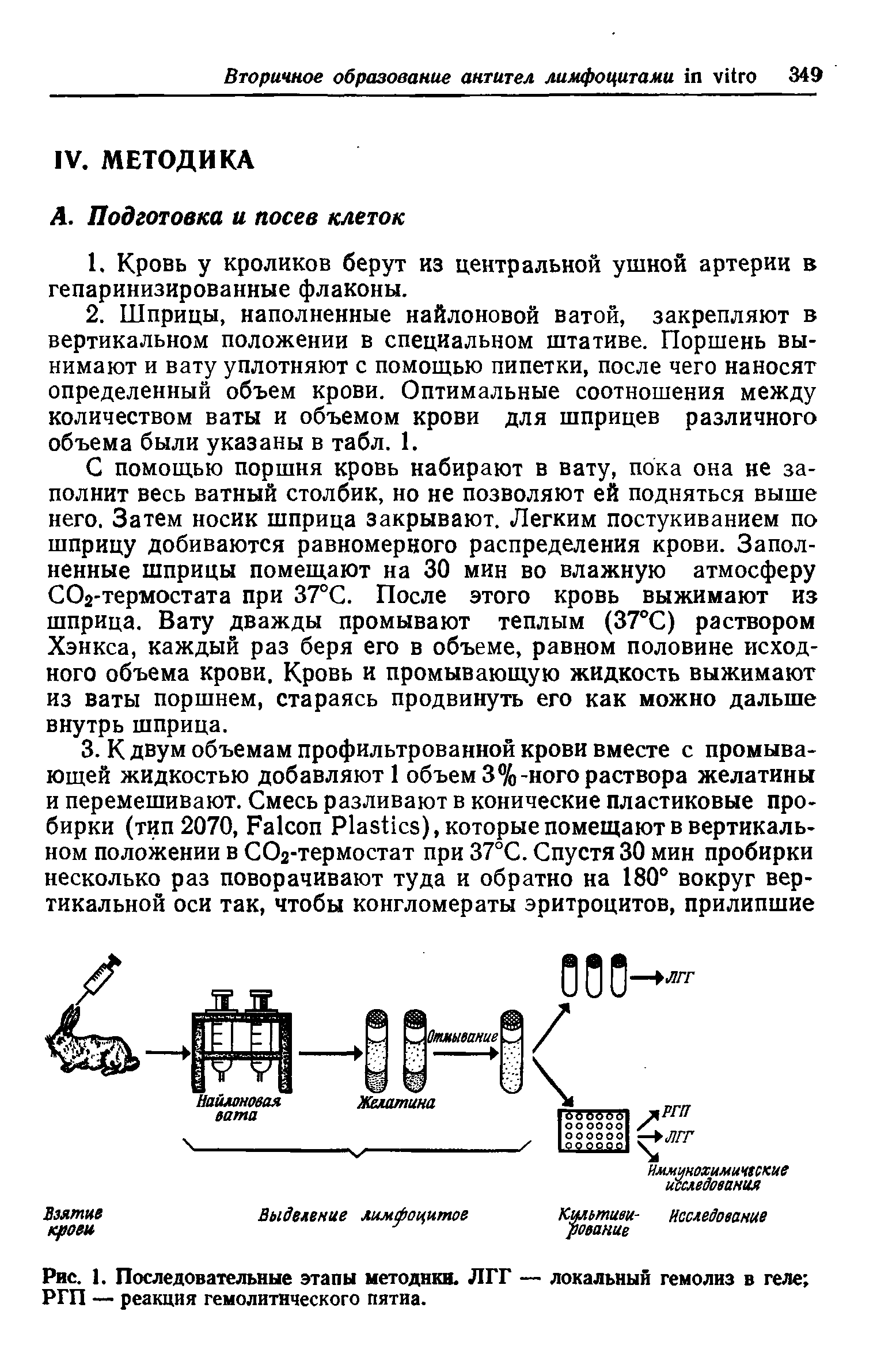 Рис. 1. Последовательные этапы методики. ЛГГ — локальный гемолиз в геле РГП — реакция гемолитического пятиа.