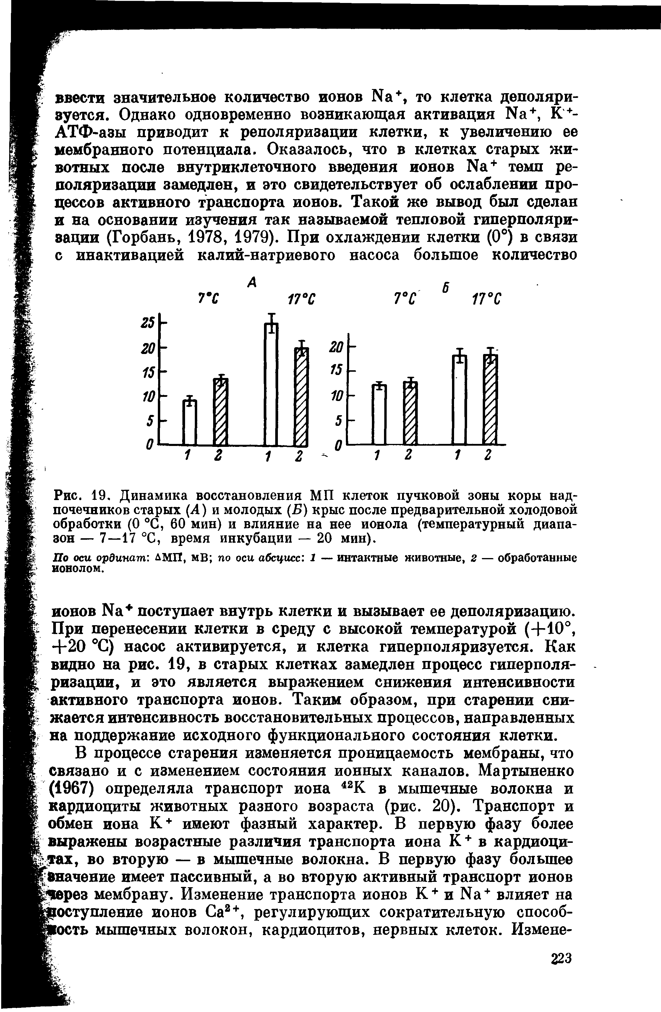 Рис. 19. Динамика восстановления МП клеток пучковой зоны коры надпочечников старых (4) и молодых (Б) крыс после предварительной холодовой обработки (0 °С, 60 мин) и влияние на нее ионола (температурный диапазон — 7—17 °С, время инкубации — 20 мин).