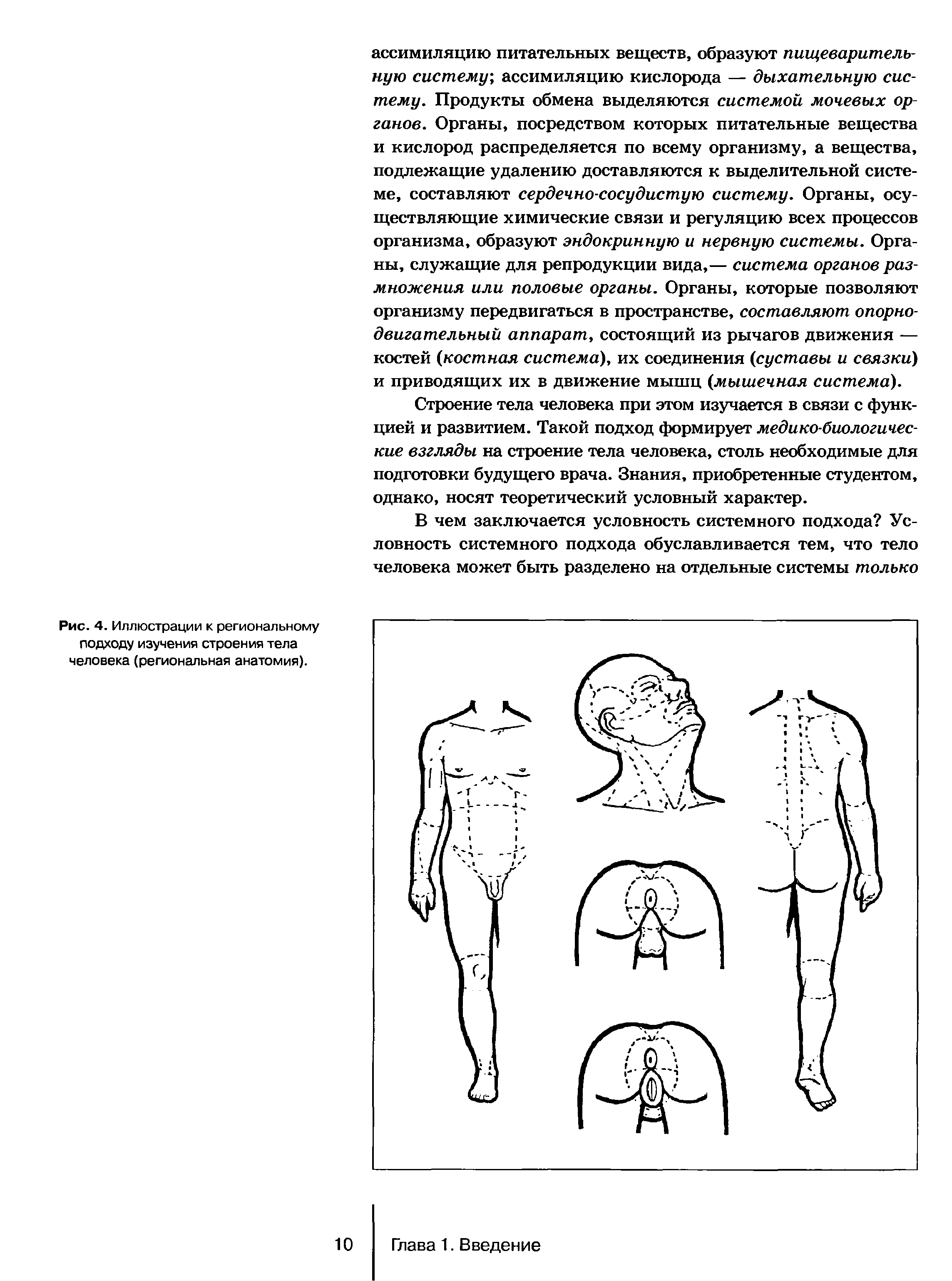 Рис. 4. Иллюстрации к региональному подходу изучения строения тела человека (региональная анатомия).