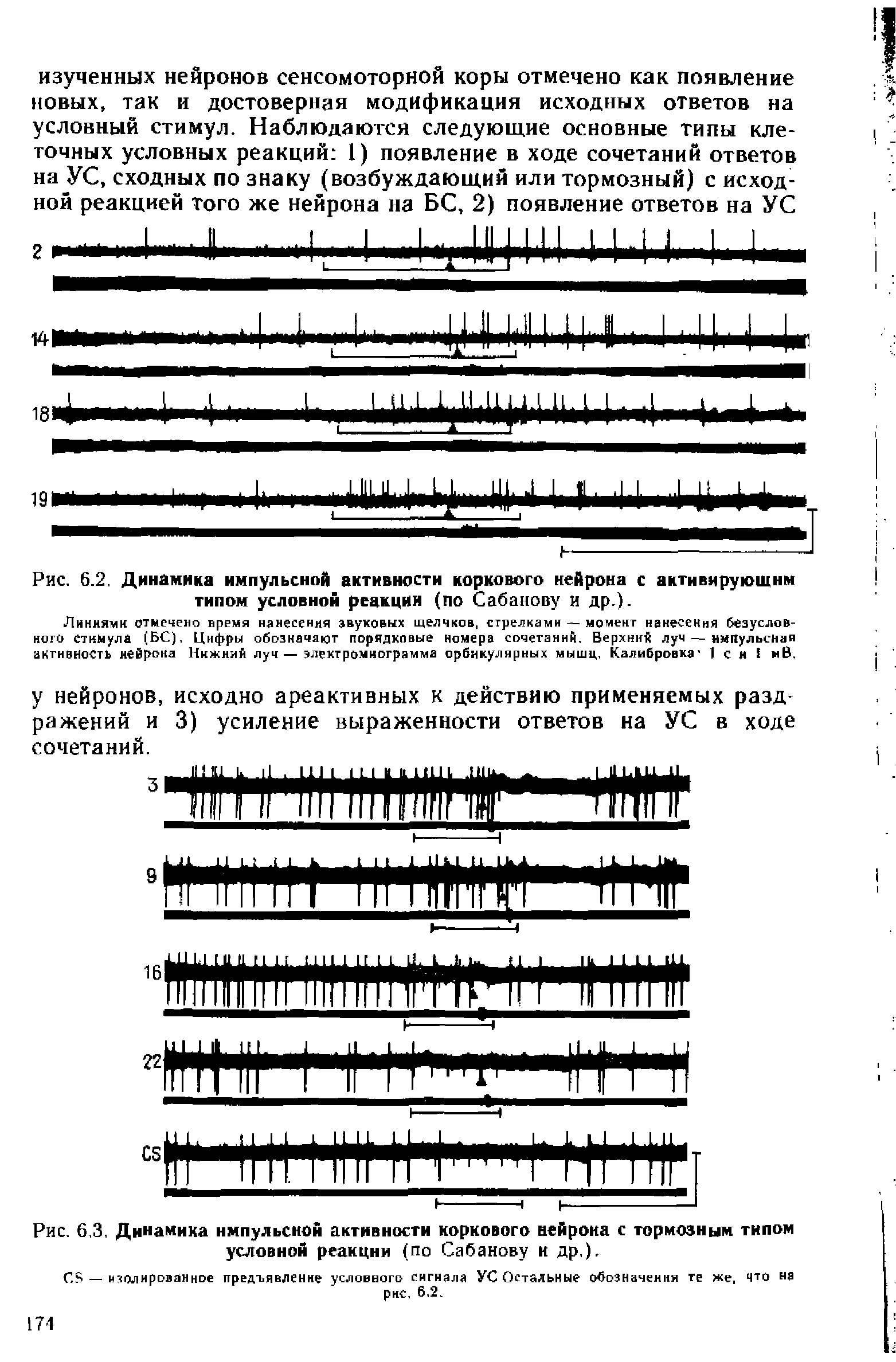 Рис. 6.2. Динамика импульсной активности коркового нейрона с активирующим типом условной реакции (по Сабанову и др ).