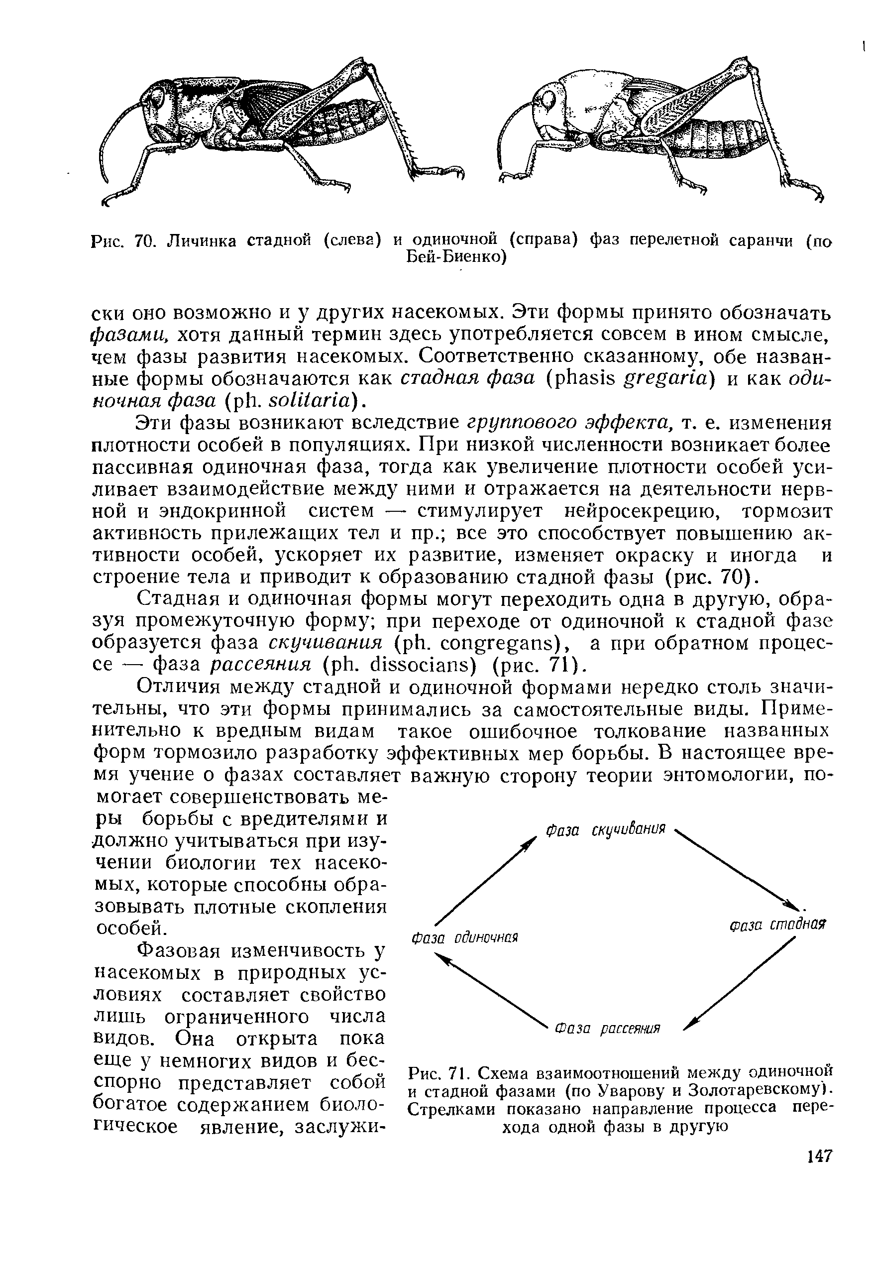 Рис. 71. Схема взаимоотношений между одиночной и стадной фазами (по Уварову и Золотаревскому). Стрелками показано направление процесса перехода одной фазы в другую...