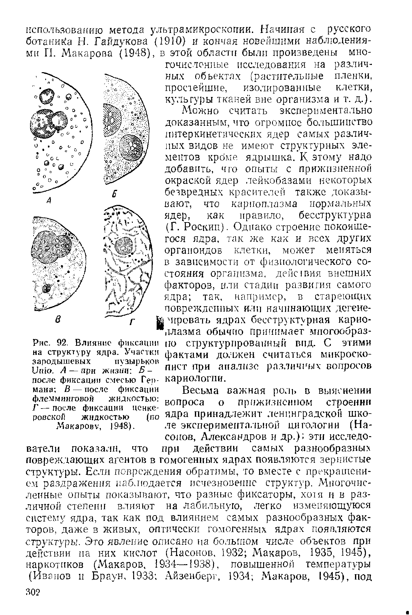 Рис. 92. Влияние фиксации по структурированный вид. С этими на структуру ядра. Участки фактами должен считаться микроско-ЖД ри ж ГГ" пист при анализе различных вопросов после фиксации смесью Гек- кариологии.