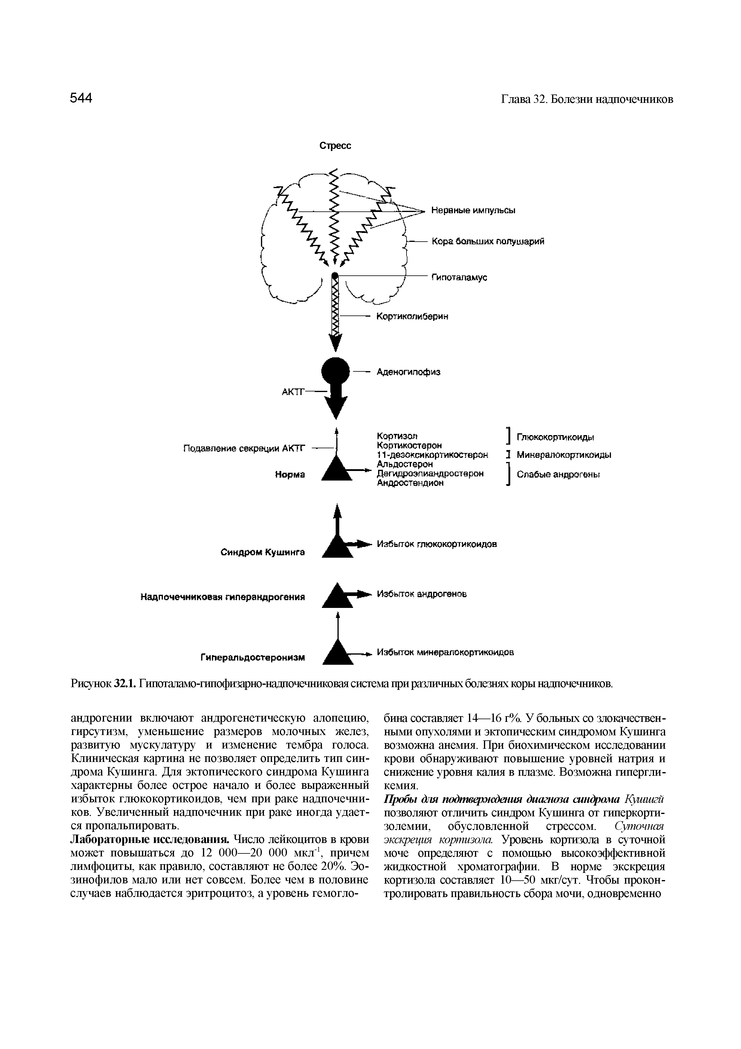 Рисунок 32.1. Гипоталамо-гипофизарно-надпочечниковая система при различных болезнях коры надпочечников.