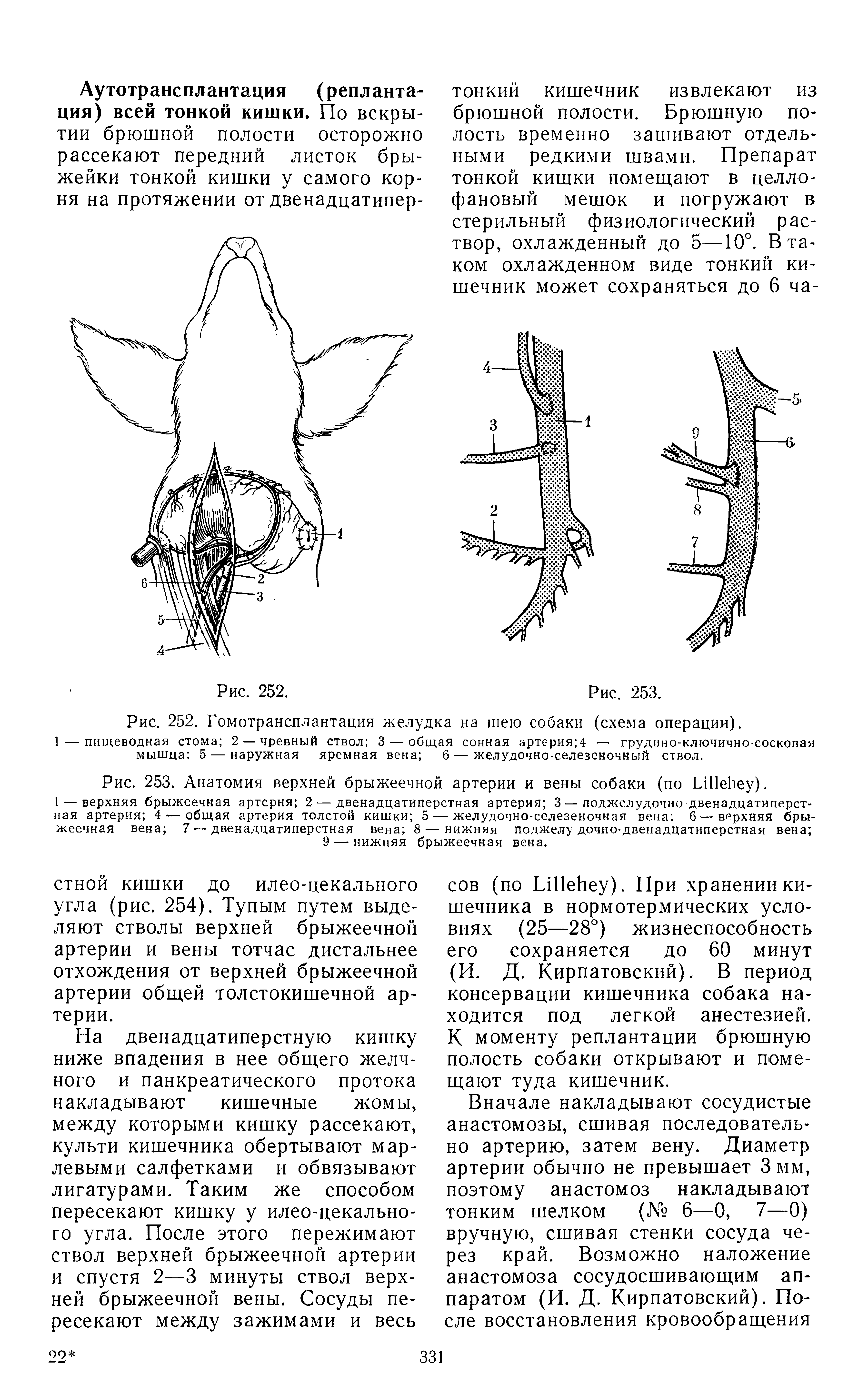 Рис. 253. Анатомия верхней брыжеечной артерии и вены собаки (по ЬШеЬеу).