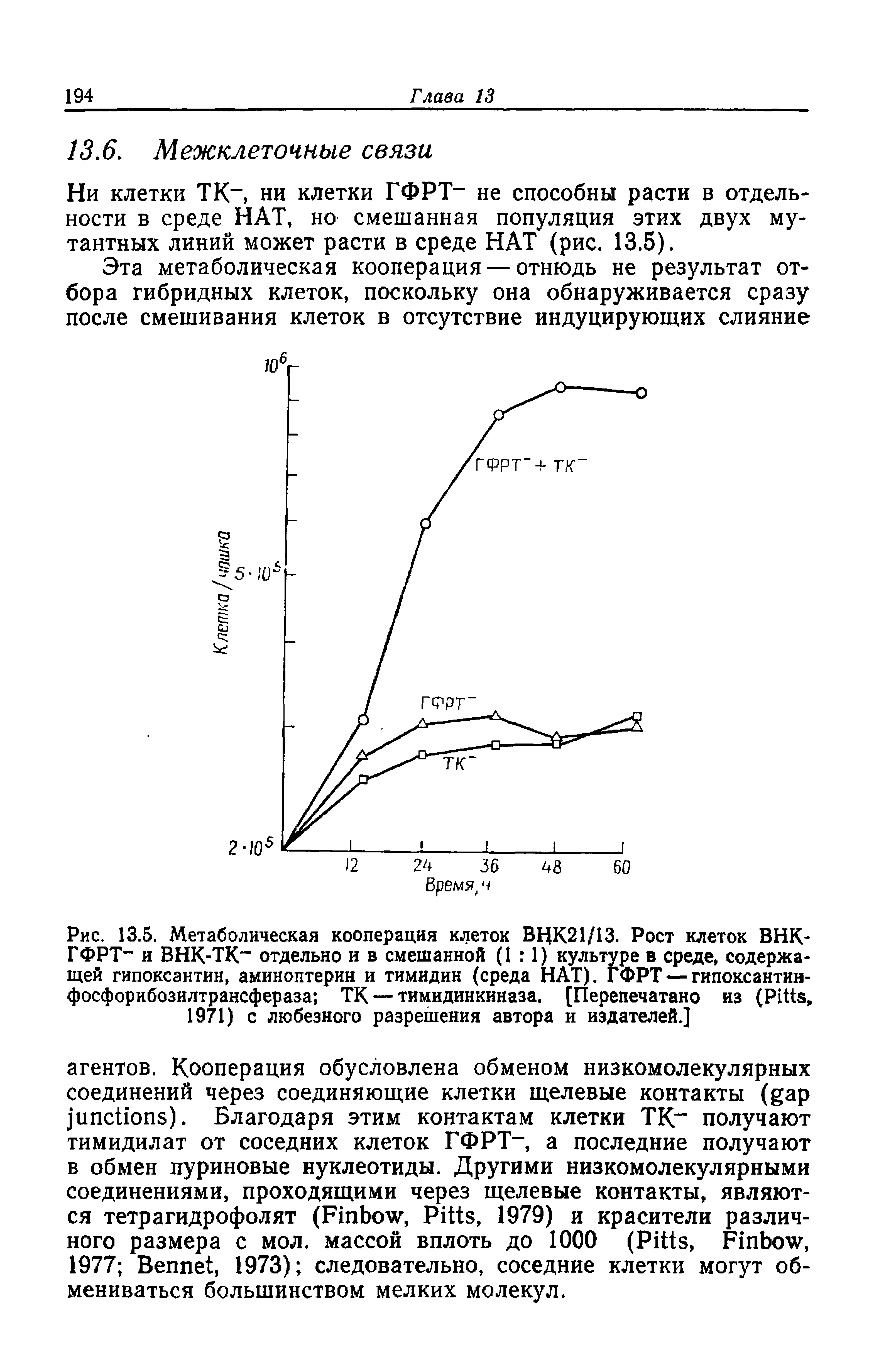 Рис. 13.5. Метаболическая кооперация клеток ВЦК21/13. Рост клеток ВНК-ГФРТ- и ВНК-ТК- отдельно и в смешанной (1 1) культуре в среде, содержащей гипоксантин, аминоптерин и тимидин (среда HAT). ГФРТ —гипоксантин-фосфорибозилтрансфераза ТК— тимидинкиназа. [Перепечатано из (P , 1971) с любезного разрешения автора и издателей.]...