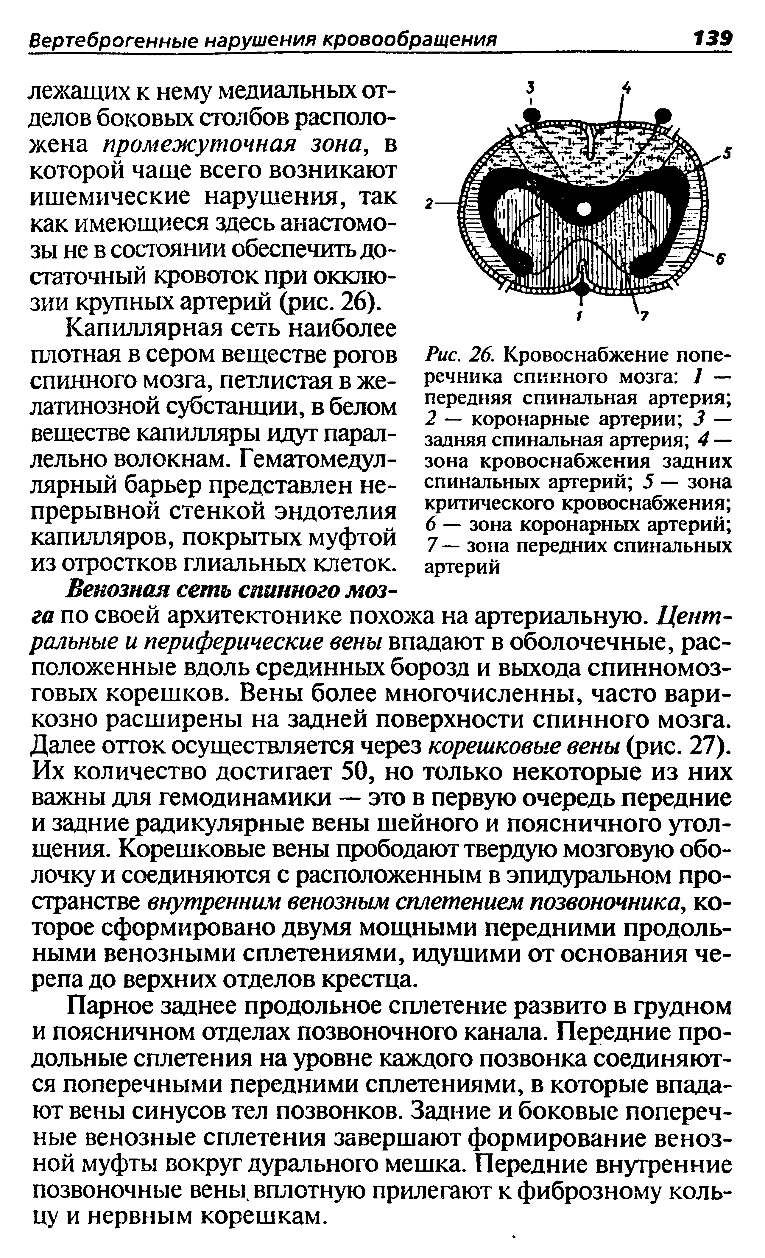 Рис. 26. Кровоснабжение поперечника спинного мозга 7 — передняя спинальная артерия 2 — коронарные артерии 3 — задняя спинальная артерия 4 — зона кровоснабжения задних спинальных артерий 5 — зона критического кровоснабжения ...