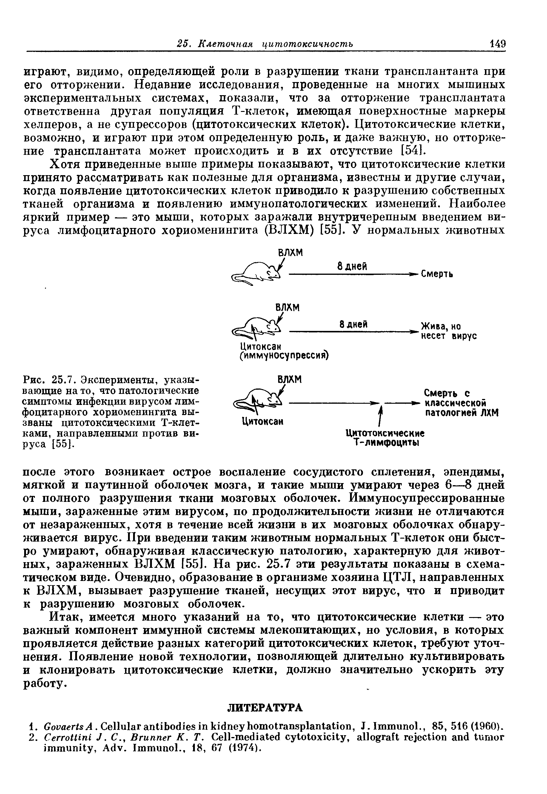 Рис. 25.7. Эксперименты, указывающие на то, что патологические симптомы инфекции вирусом лимфоцитарного хориоменингита вызваны цитотоксическими Т-клет-ками, направленными против вируса [55].