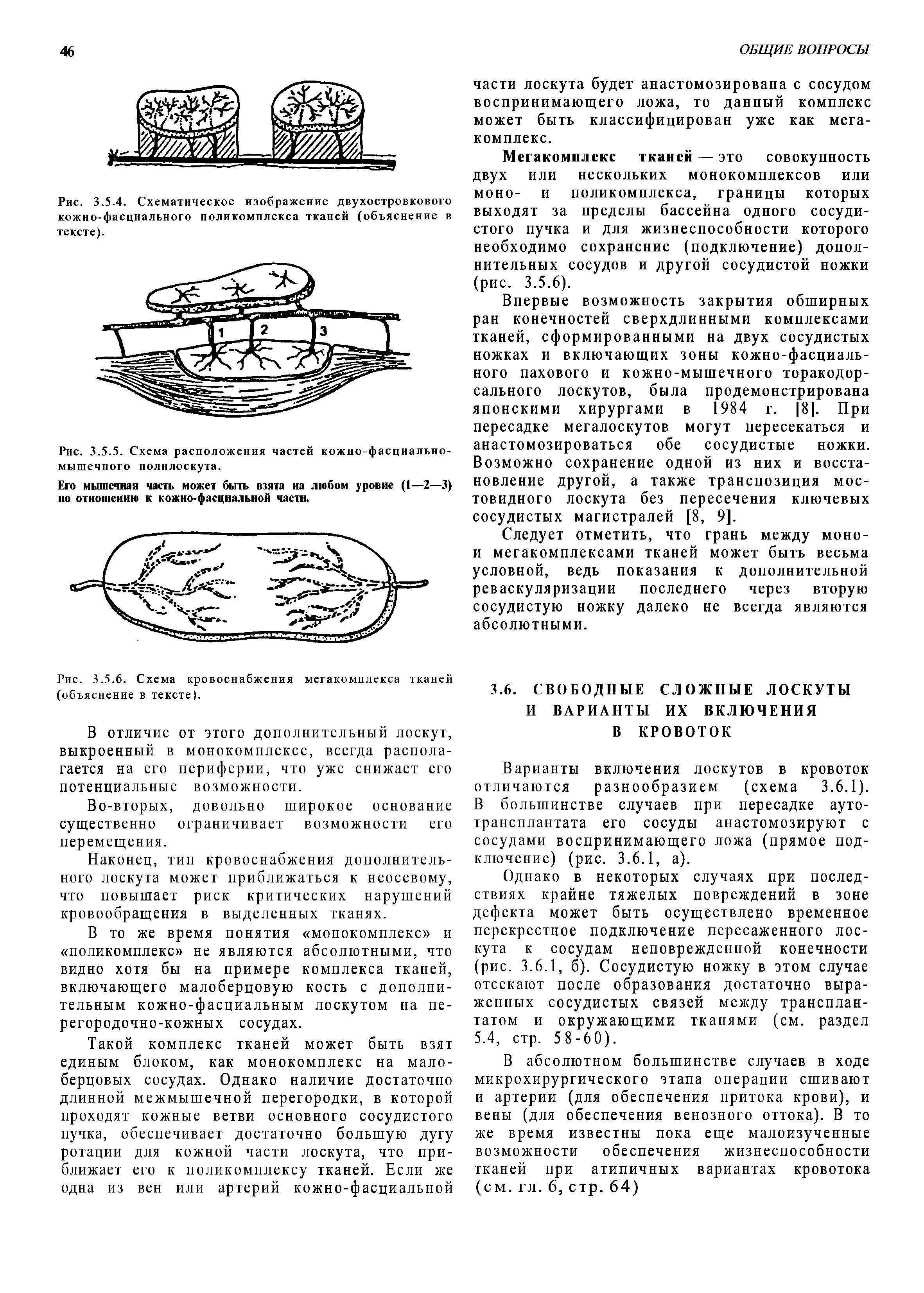 Рис. 3.5-4. Схематическое изображение двухостровкового кожно-фасциального поликомплекса тканей (объяснение в тексте).