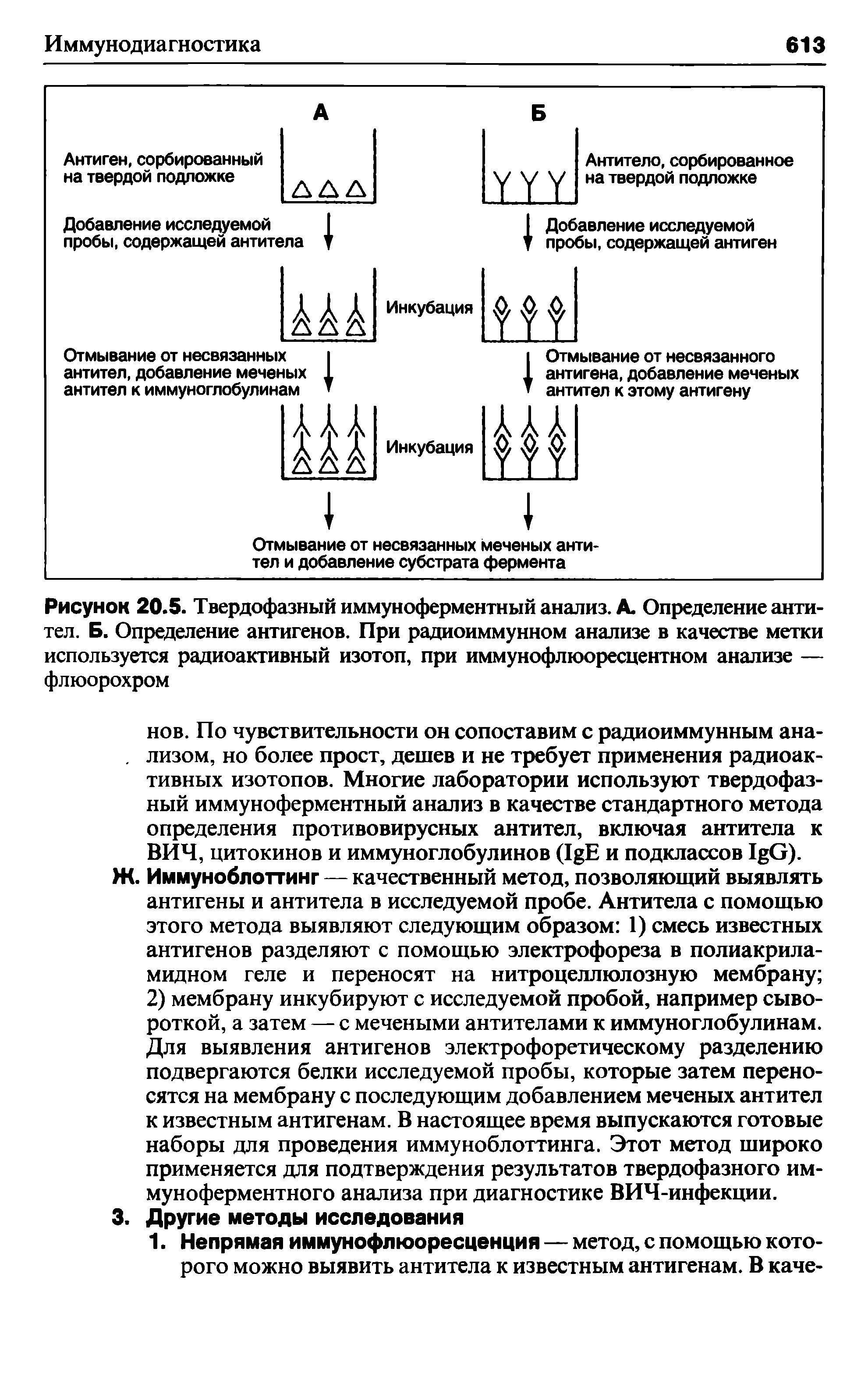 Рисунок 20.5. Твердофазный иммуноферментный анализ. А. Определение антител. Б. Определение антигенов. При радиоиммунном анализе в качестве метки используется радиоактивный изотоп, при иммунофлюоресцентном анализе — флюорохром...