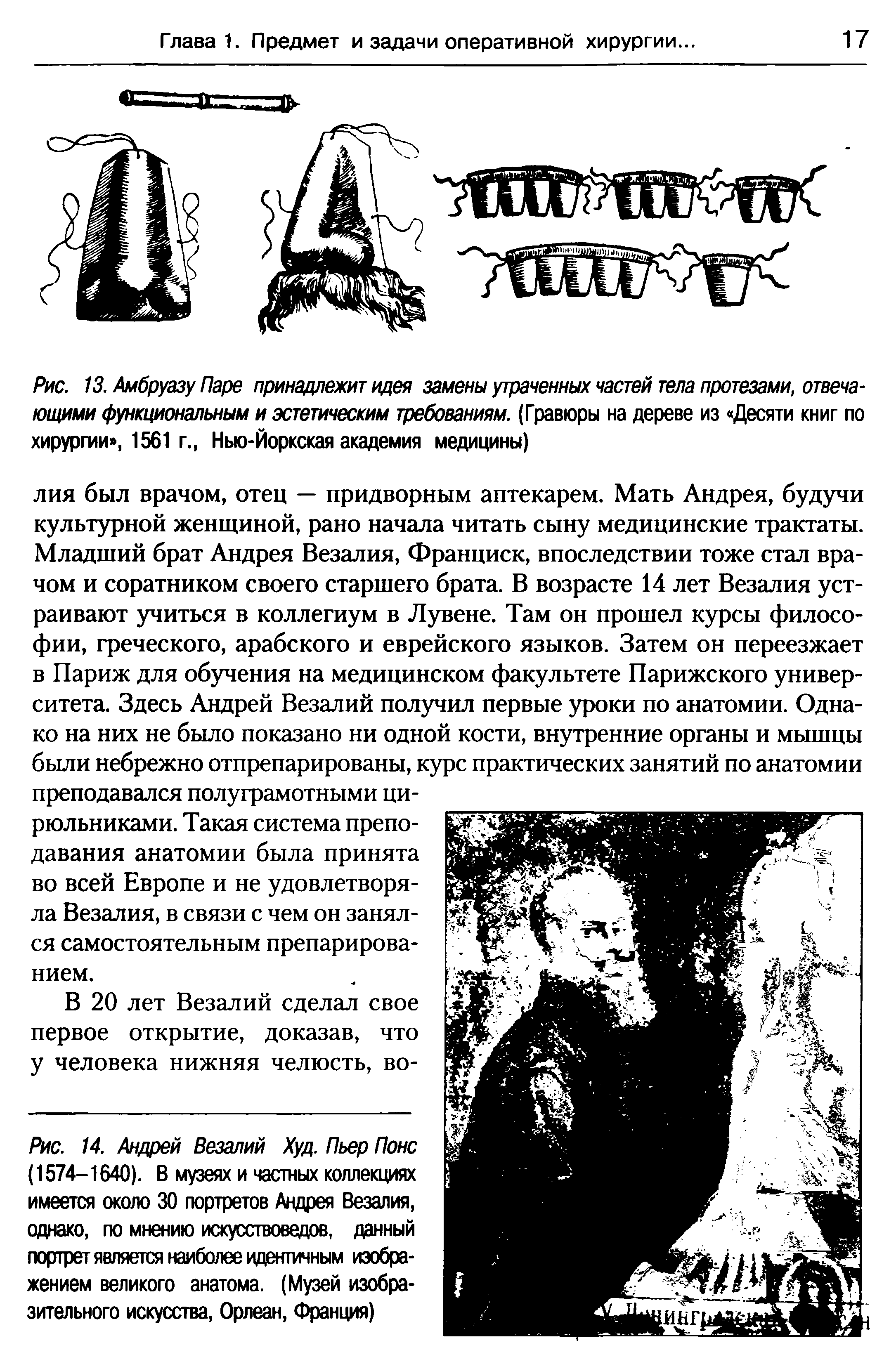 Рис. 14. Андрей Везалий Худ. Пьер Понс (1574-1640). В музеях и частных коллекциях имеется около 30 портретов Андрея Везалия, однако, по мнению искусствоведов, данный портрет является наиболее идентичным изображением великого анатома. (Музей изобразительного искусства, Орлеан, Франция)...