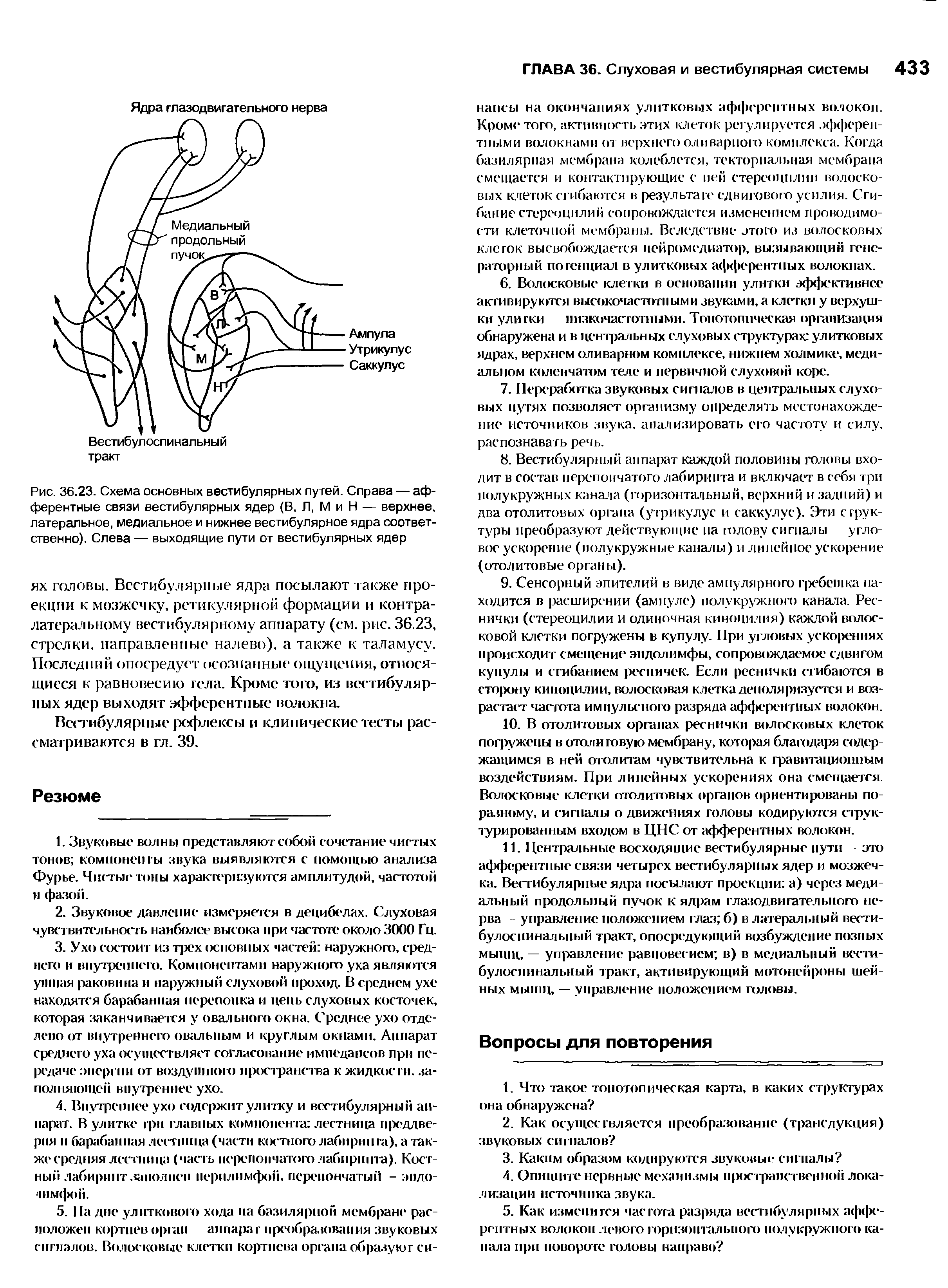 Рис. 36.23. Схема основных вестибулярных путей. Справа — афферентные связи вестибулярных ядер (В, Л, М и Н — верхнее, латеральное, медиальное и нижнее вестибулярное ядра соответственно). Слева — выходящие пути от вестибулярных ядер...