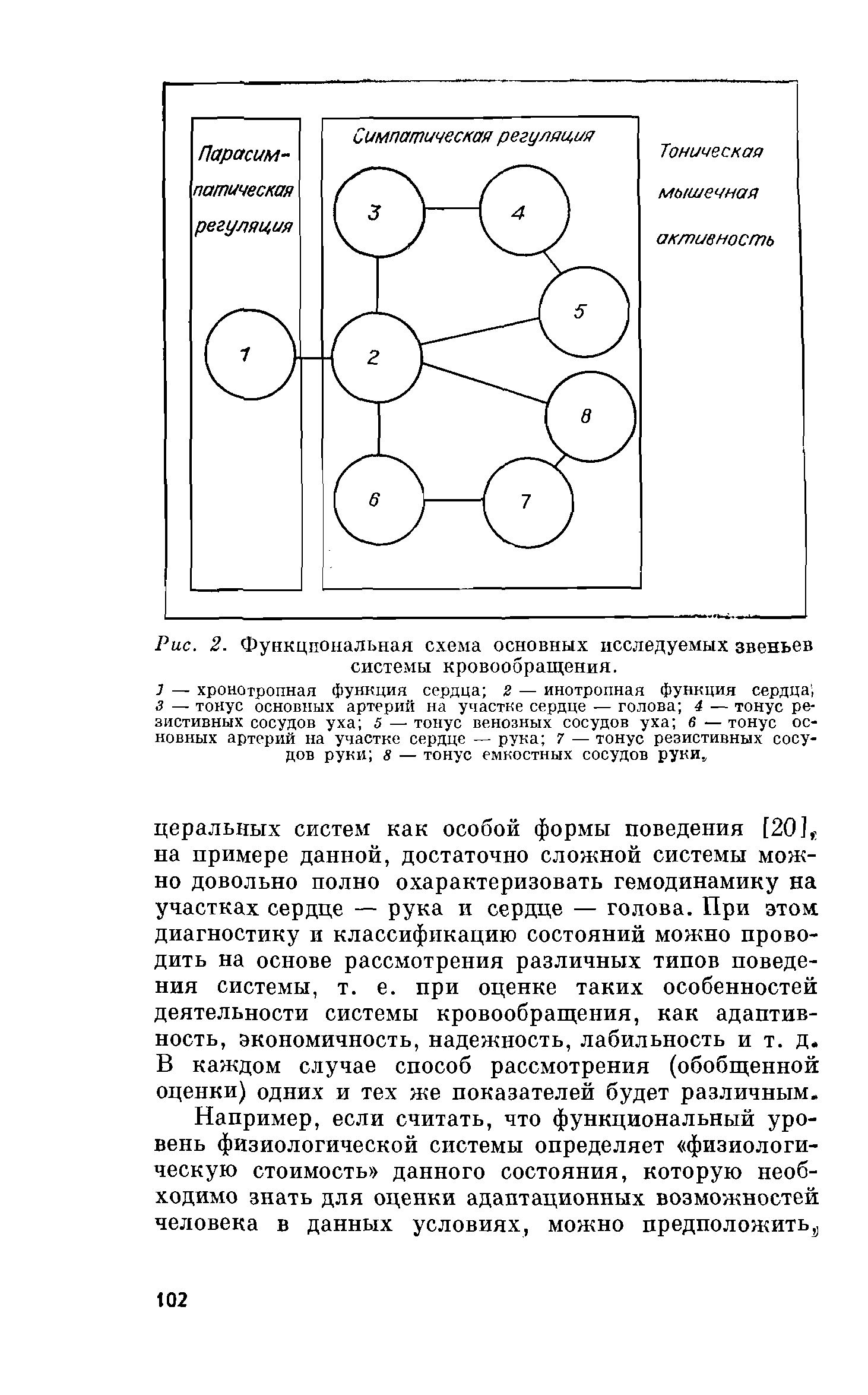 Рис. 2. Функциональная схема основных исследуемых звеньев системы кровообращения.