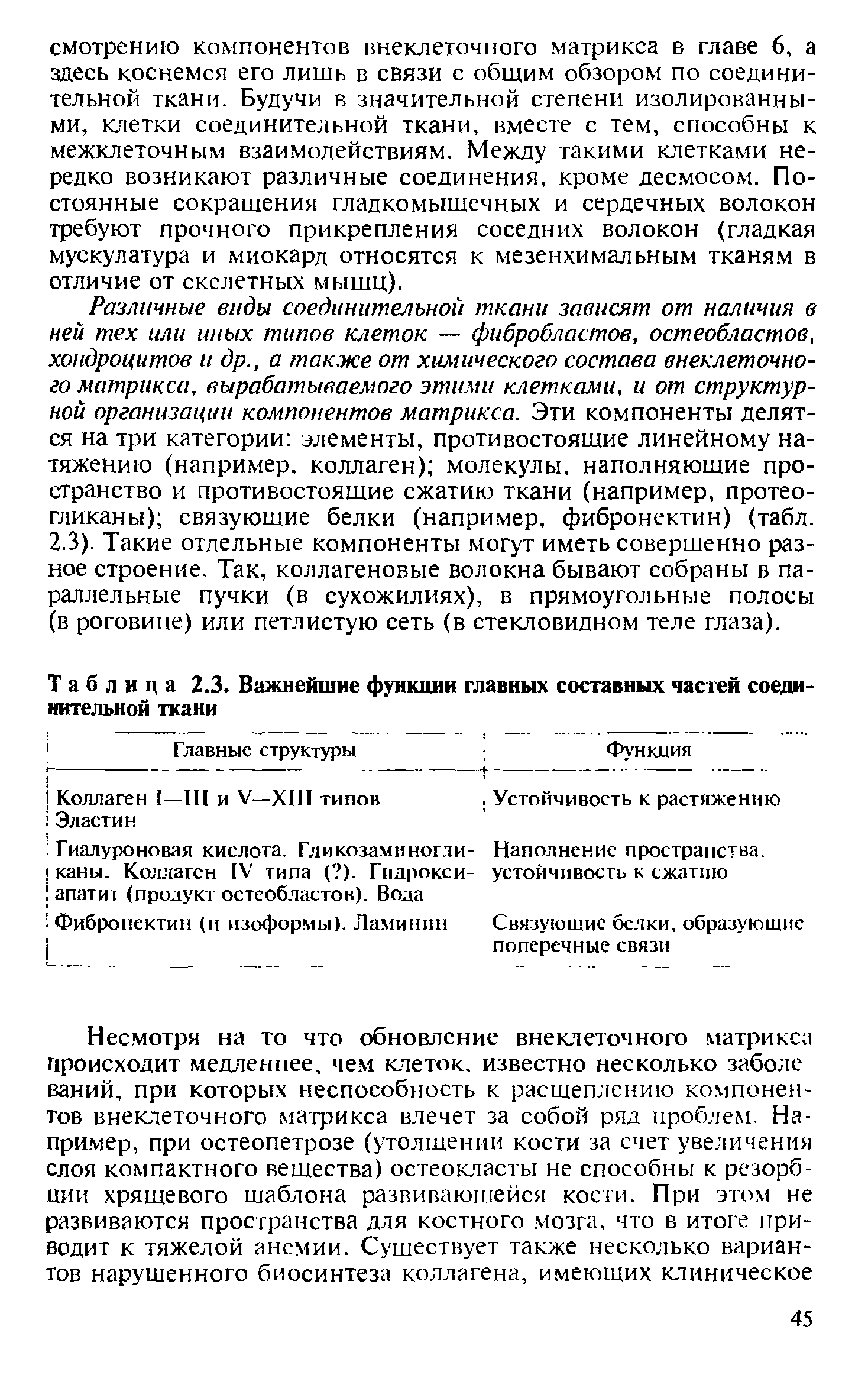 Таблица 2.3. Важнейшие функции главных составных частей соединительной ткани...