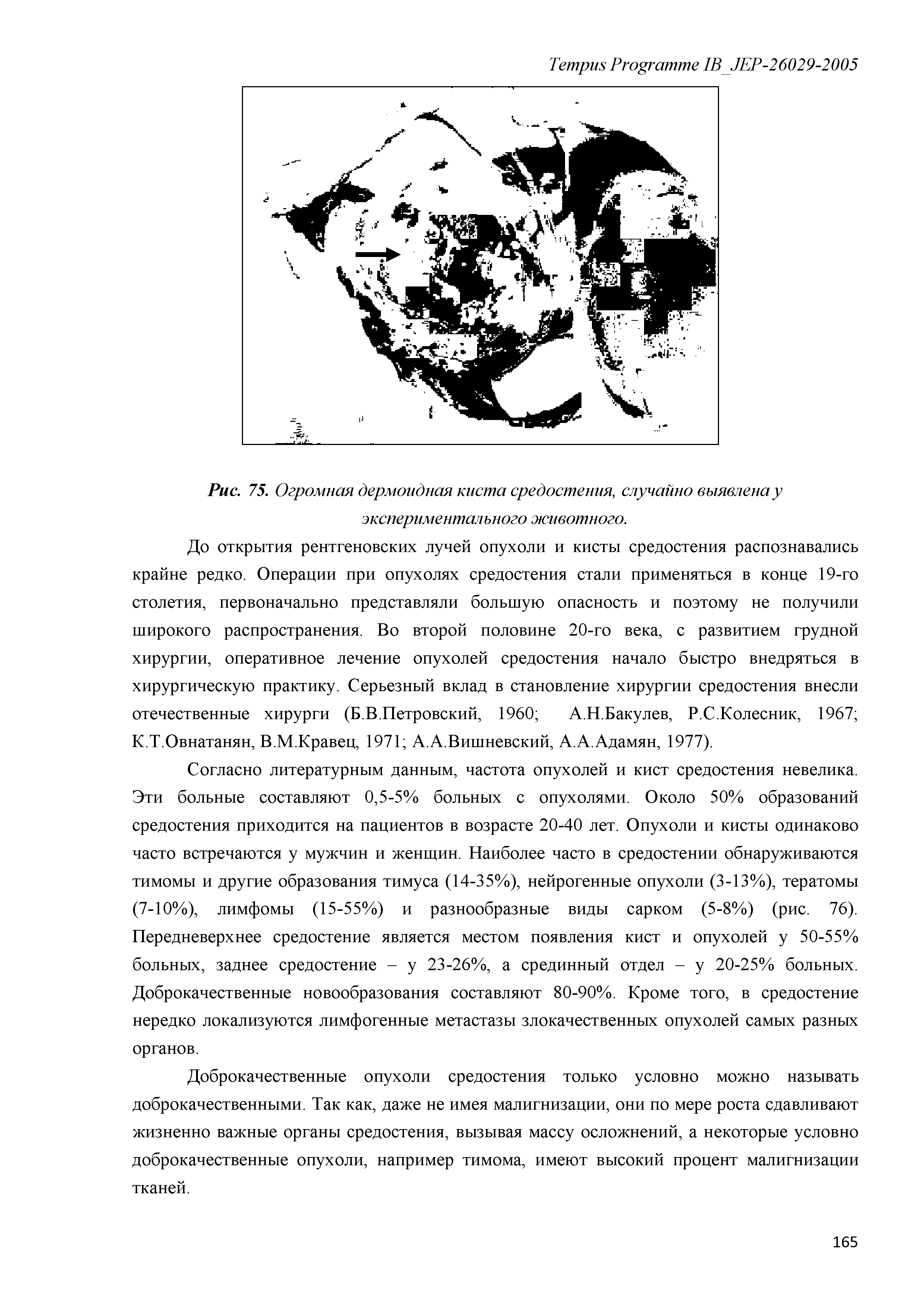 Рис. 75. Огромная дермоидная киста средостения, случайно выявлена у экспериментального животного.