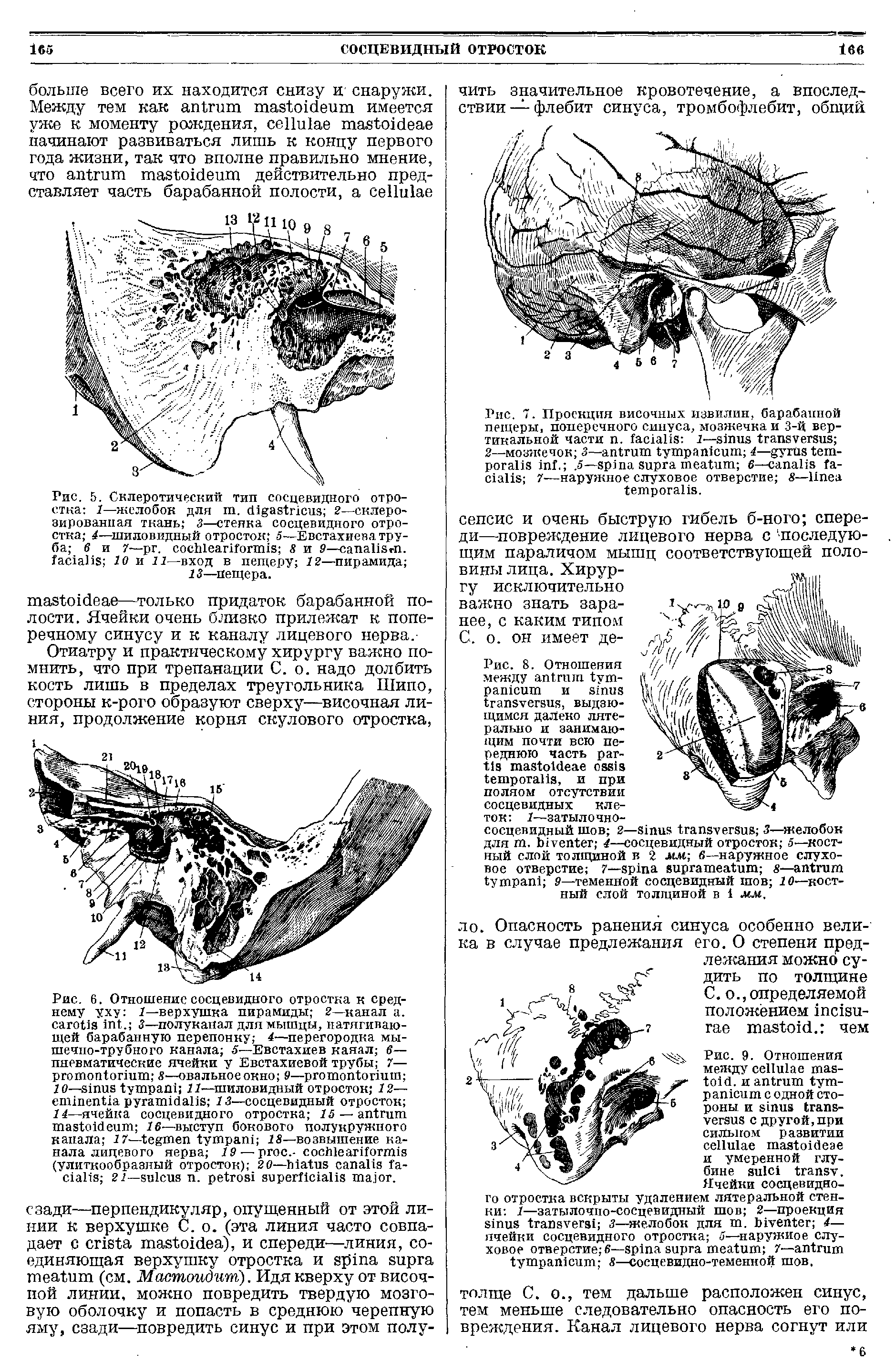 Рис. 9. Отношения между . и с одной стороны и с другой,при сильном развитии и умеренной глубине . Ячейки сосцевидно-...