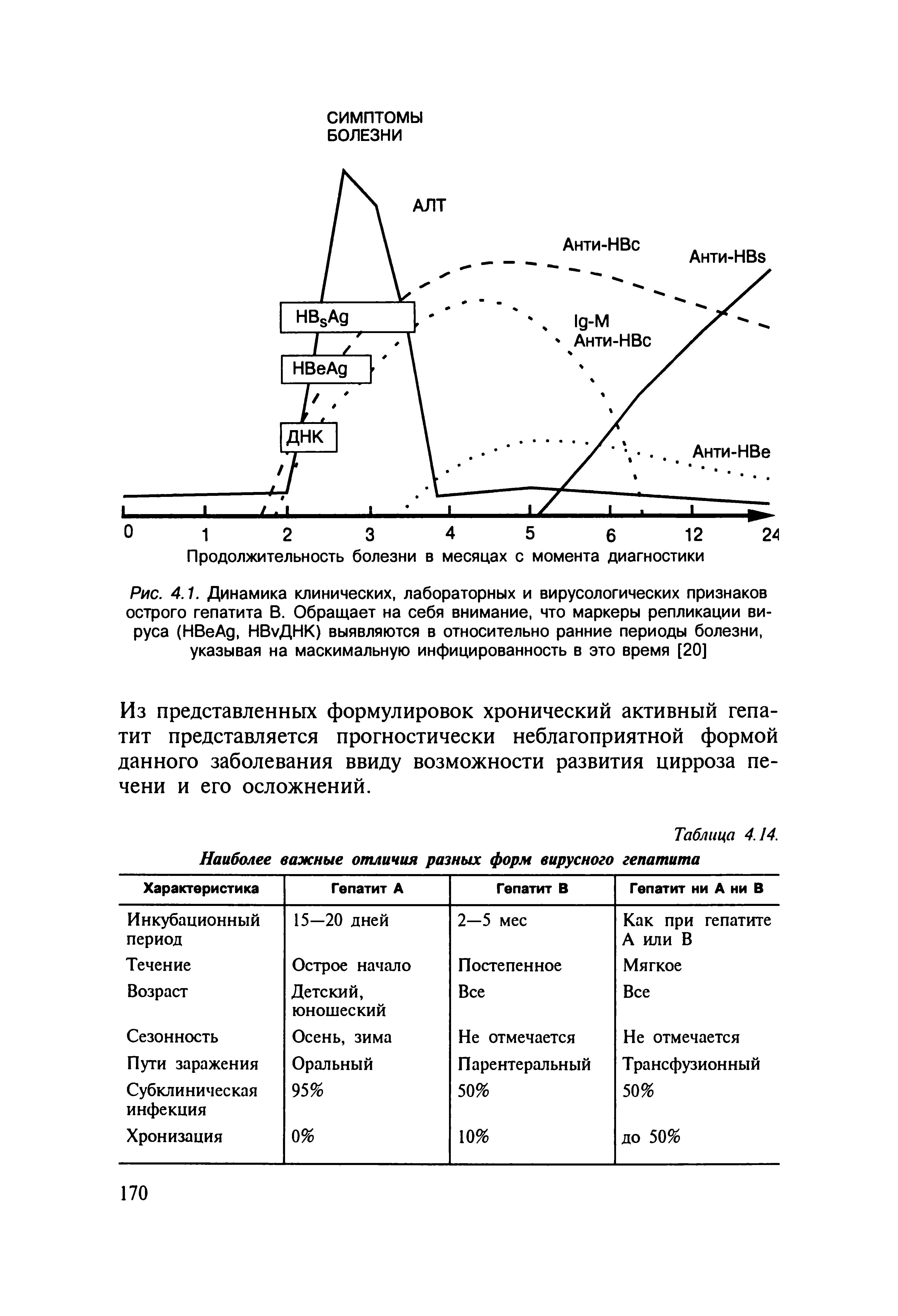 Рис. 4.1. Динамика клинических, лабораторных и вирусологических признаков острого гепатита В. Обращает на себя внимание, что маркеры репликации вируса (НВеАд, НВуДНК) выявляются в относительно ранние периоды болезни, указывая на маскимальную инфицированность в это время [20]...
