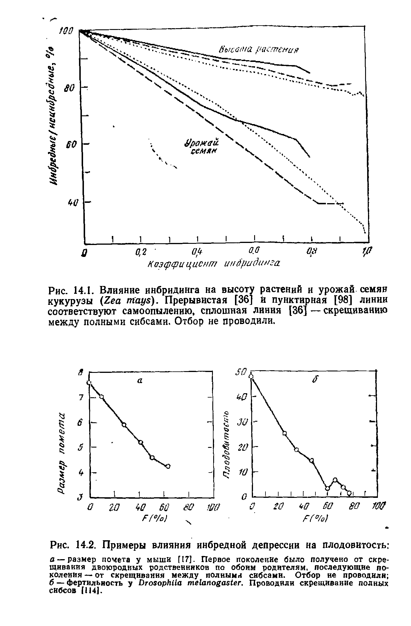 Рис. 14.2. Примеры влияния инбредной депрессии на плодовитость а — размер помета у мыши [17]. Первое поколение было получено от скрещивания двоюродных родственников по обоим родителям, последующие поколения — от скрещивания между полными сибсами. Отбор не проводили б — фертильность у D . Проводили скрещивание полных сибсов [114].