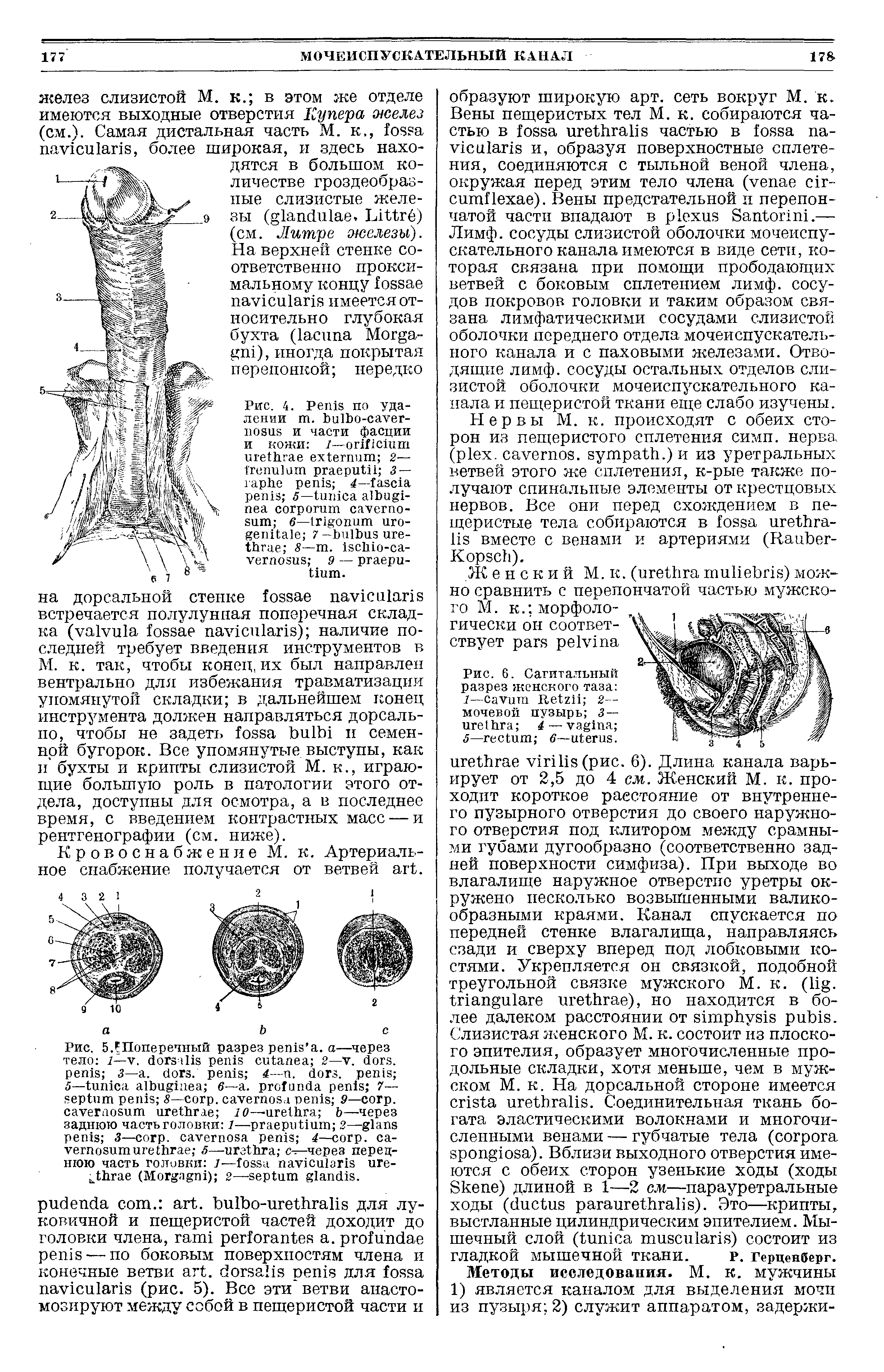 Рис. 6. Сагитальный разрез женского таза Г— R 2— мочевой пузырь 3 — 4 — 5— 6— .