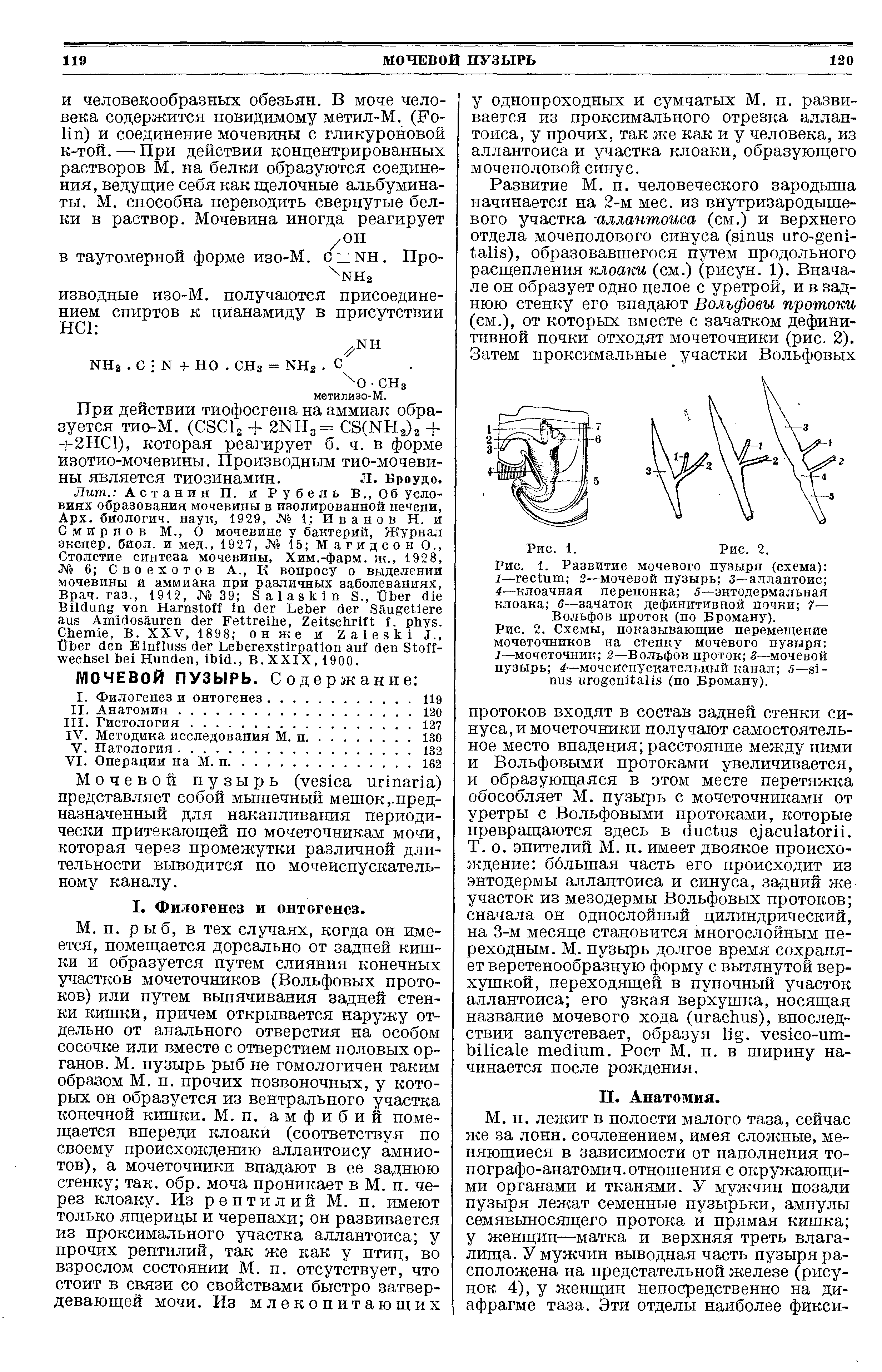 Рис. 2. Схемы, показывающие перемещение мочеточников на стенку мочевого пузыря 1—мочеточник 2—Вольфов проток 3—мочевой пузырь 4—мочеиспускательный канал 5— (по Броману).