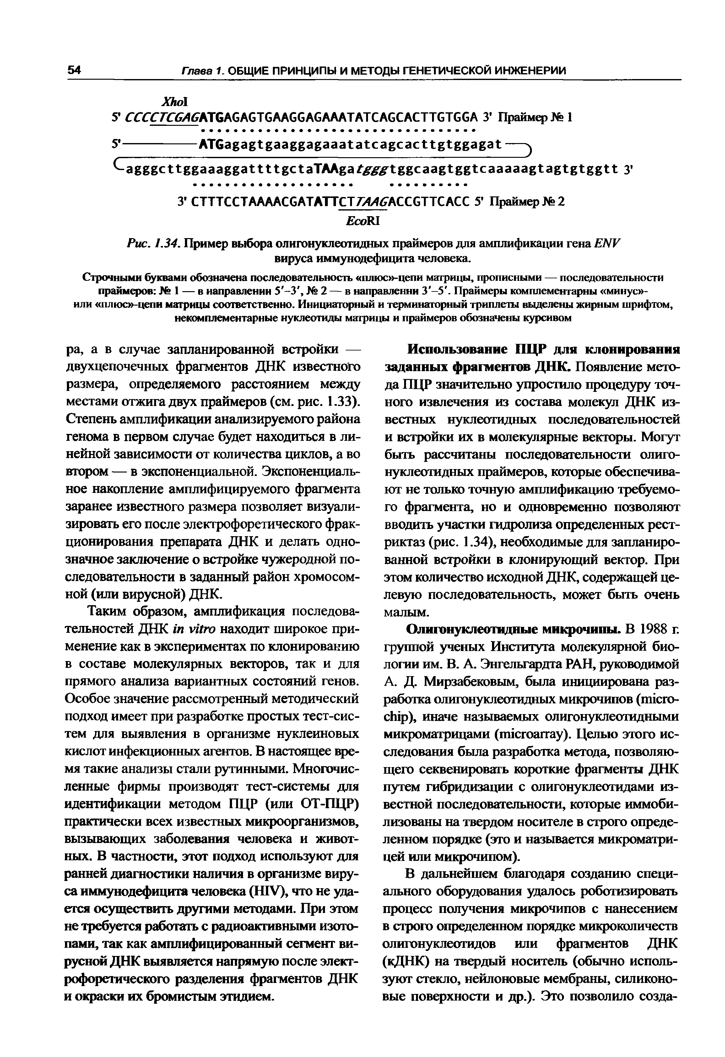 Рис. 1.34. Пример выбора олигонуклеотидных праймеров для амплификации гена вируса иммунодефицита человека.