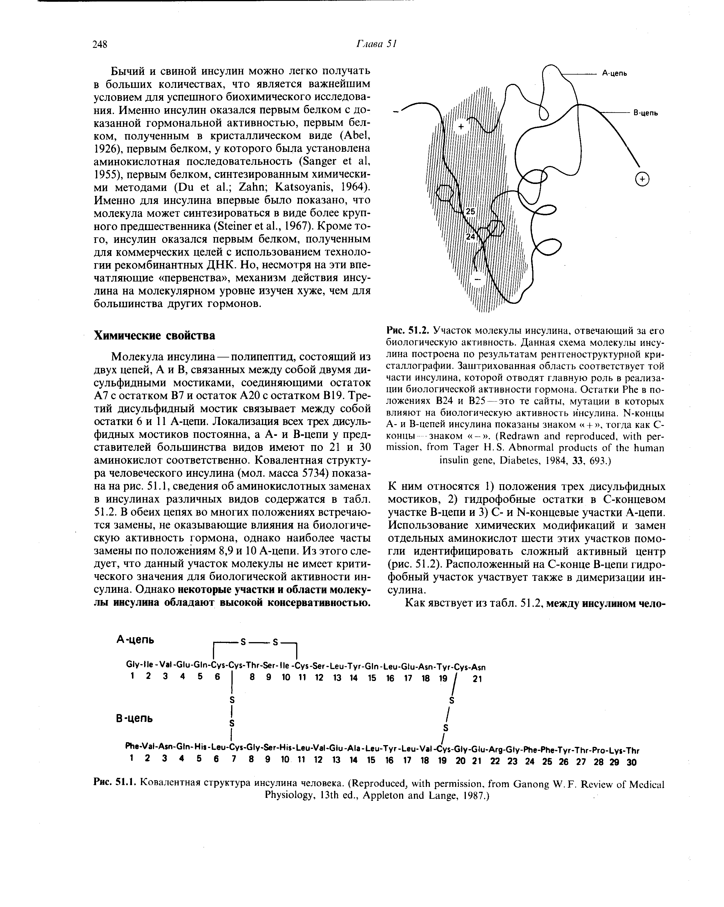 Рис. 51.1. Ковалентная структура инсулина человека. (R , , G W.F. R M P , 13 ., A L , 1987.)...