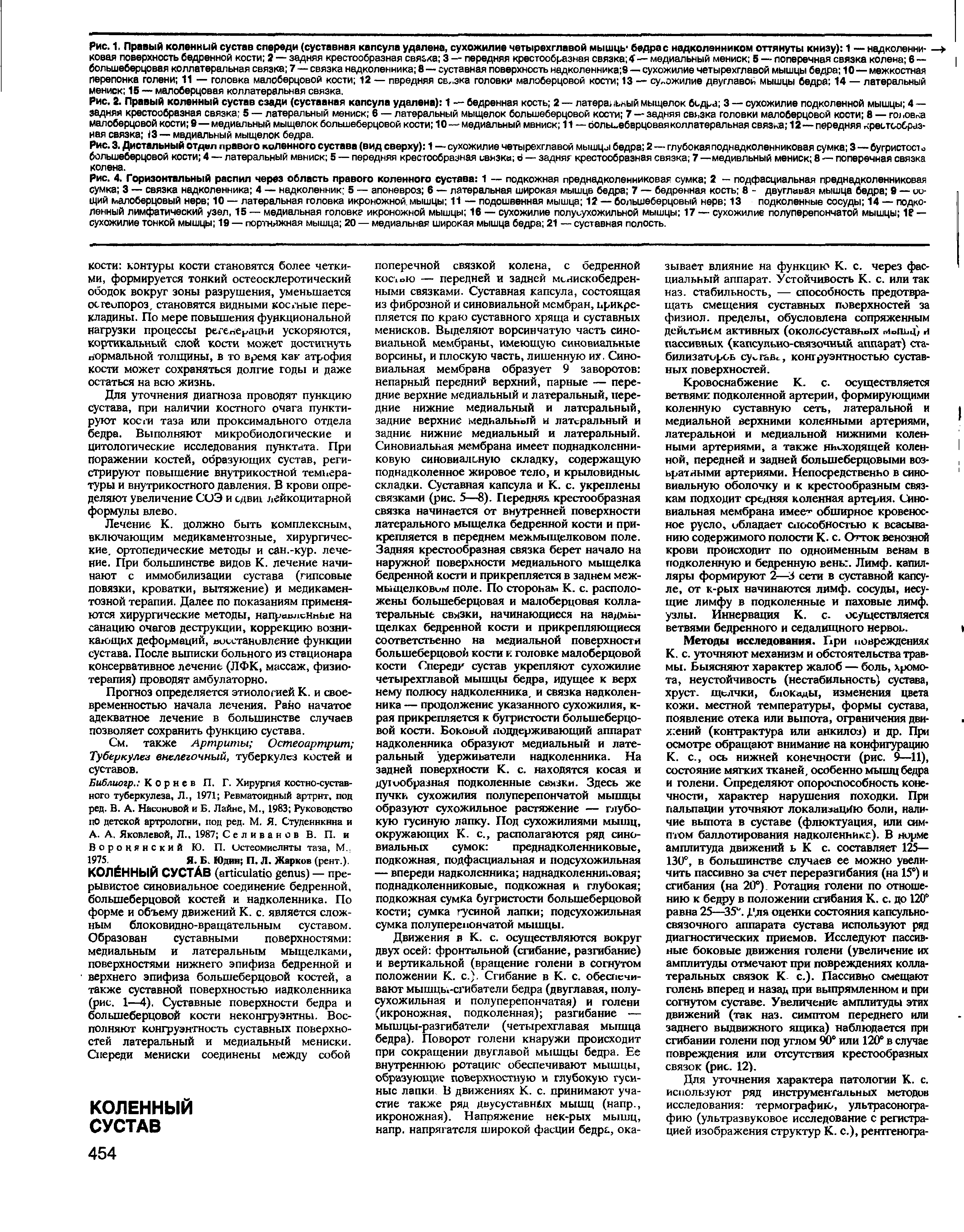 Рис. 3. Дистальный отдел правого коленного сустава (вид сверху) 1 — сухожилие четырехглавой мышцы бедра 2 — глубокая поднадколенниковая сумка 3 — бугристост о большеберцовой кости 4 — латеральный мвниск 5 — передняя крестообразная связка о — задняя крестообразная связка 7 —медивльный мениск 8 — поперечная связка колена.