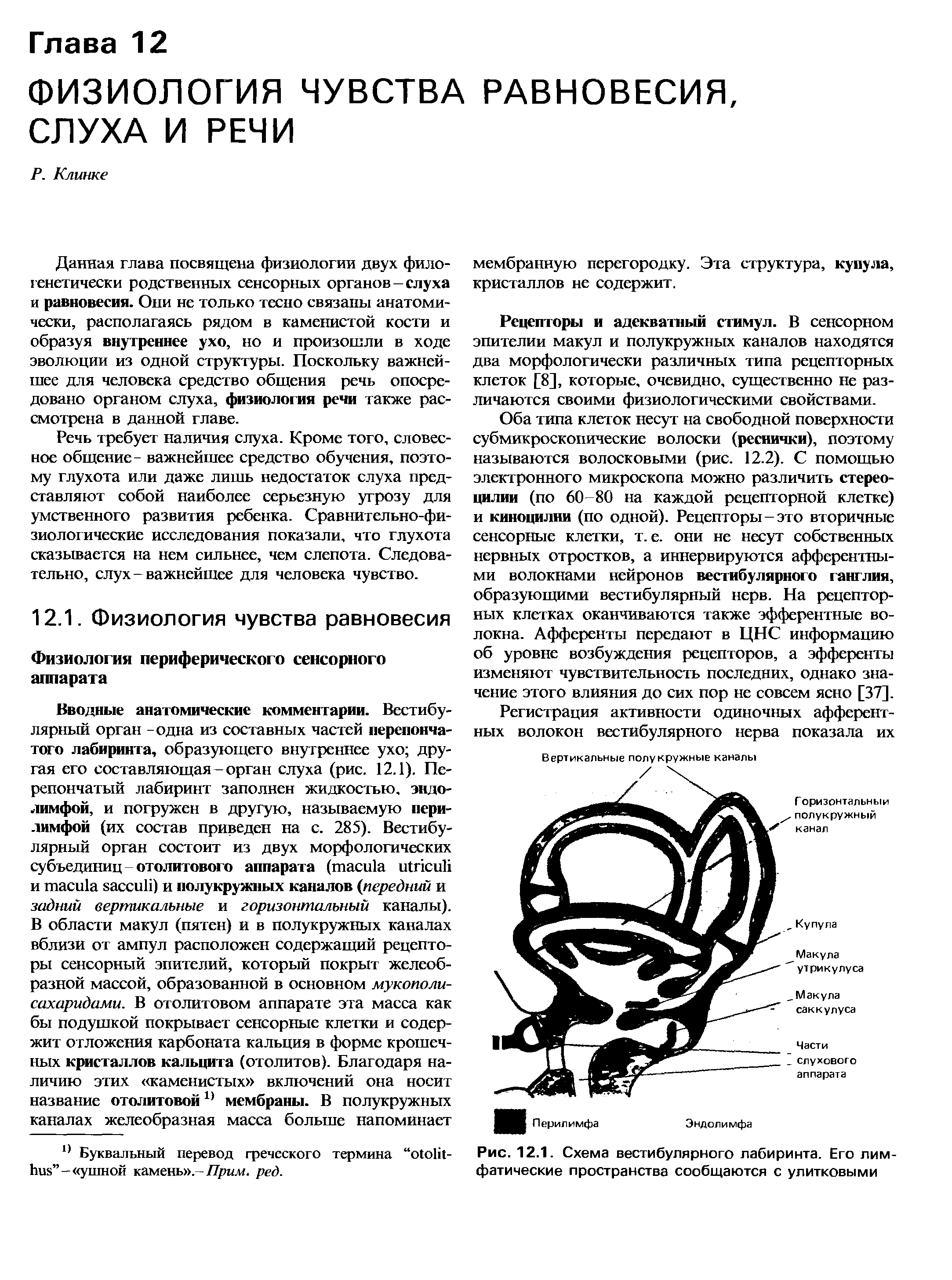 Рис. 12.1. Схема вестибулярного лабиринта. Его лимфатические пространства сообщаются с улитковыми...