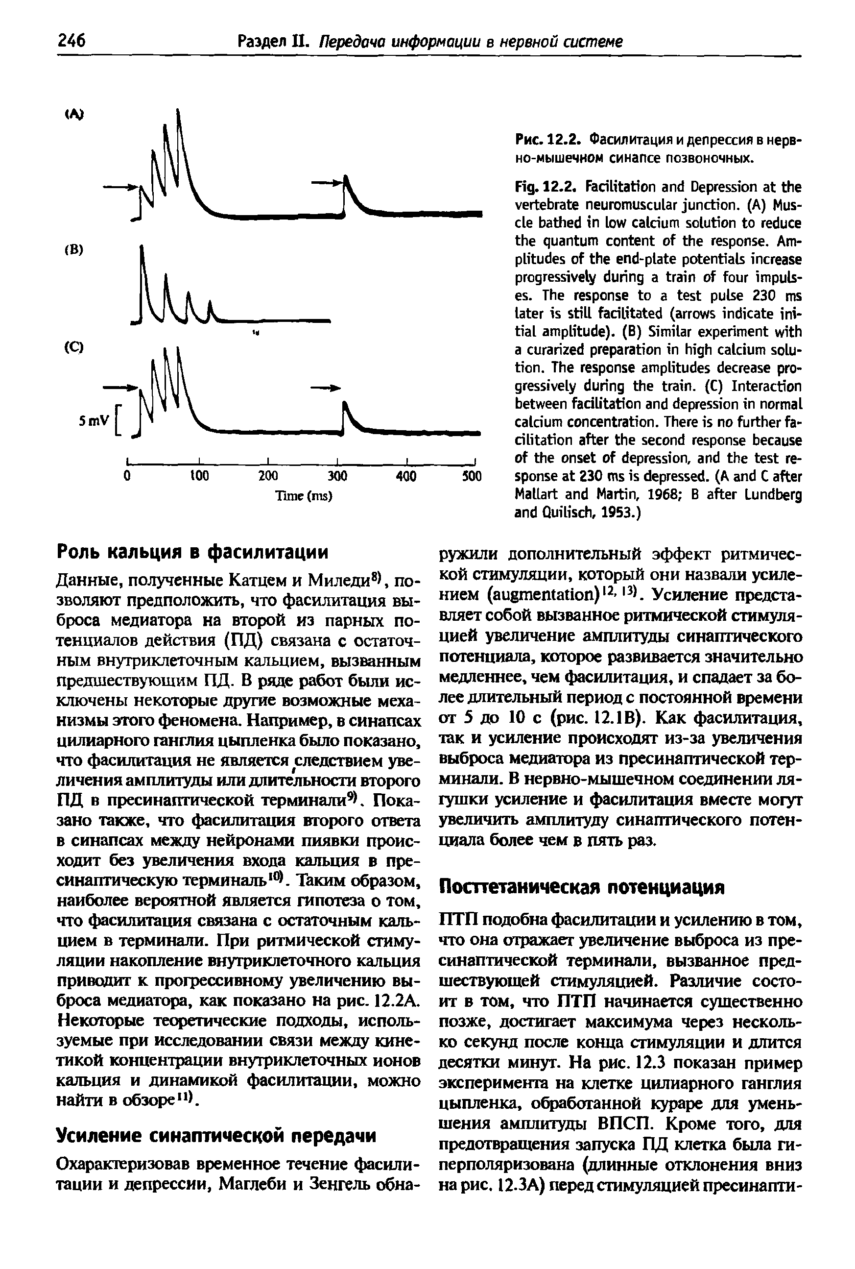 Рис.12.2. Фасилитация и депрессия в нервно-мышечном синапсе позвоночных.