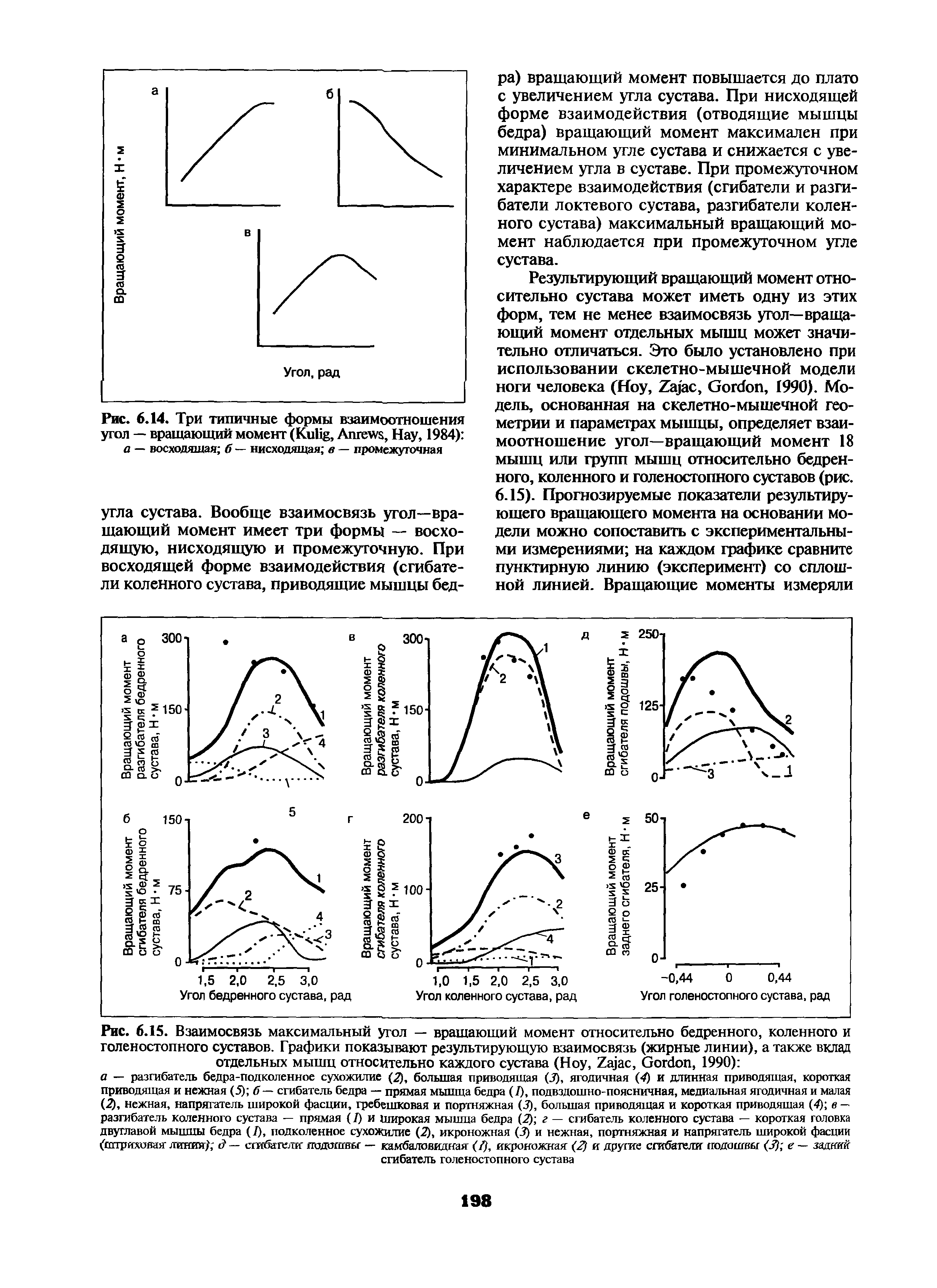 Рис. 6.15. Взаимосвязь максимальный угол — вращающий момент относительно бедренного, коленного и голеностопного суставов. Графики показывают результирующую взаимосвязь (жирные линии), а также вклад отдельных мышц относительно каждого сустава (H , Z , G , 1990) ...