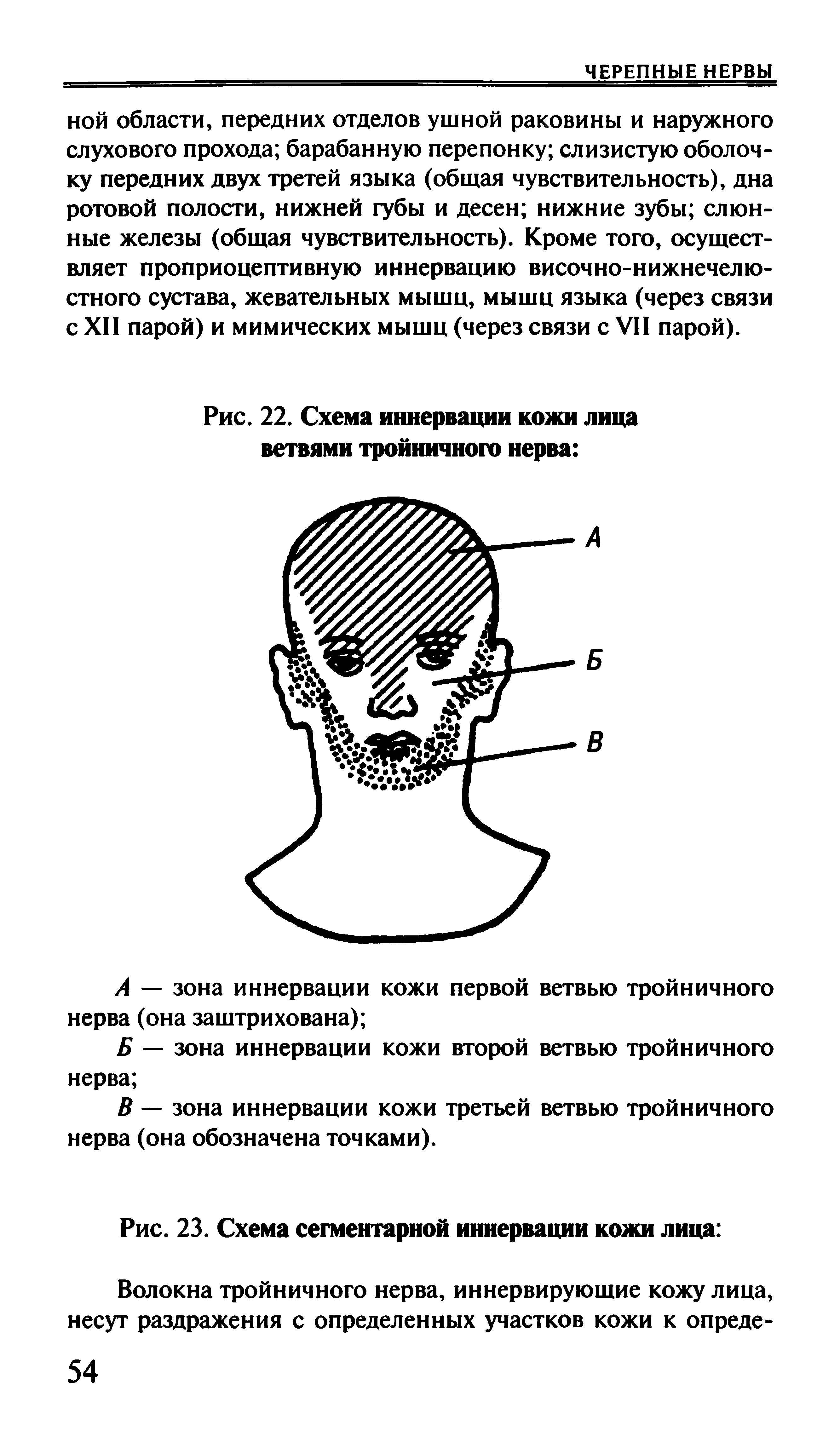 Рис. 22. Схема иннервации кожи лица ветвями тройничного нерва ...