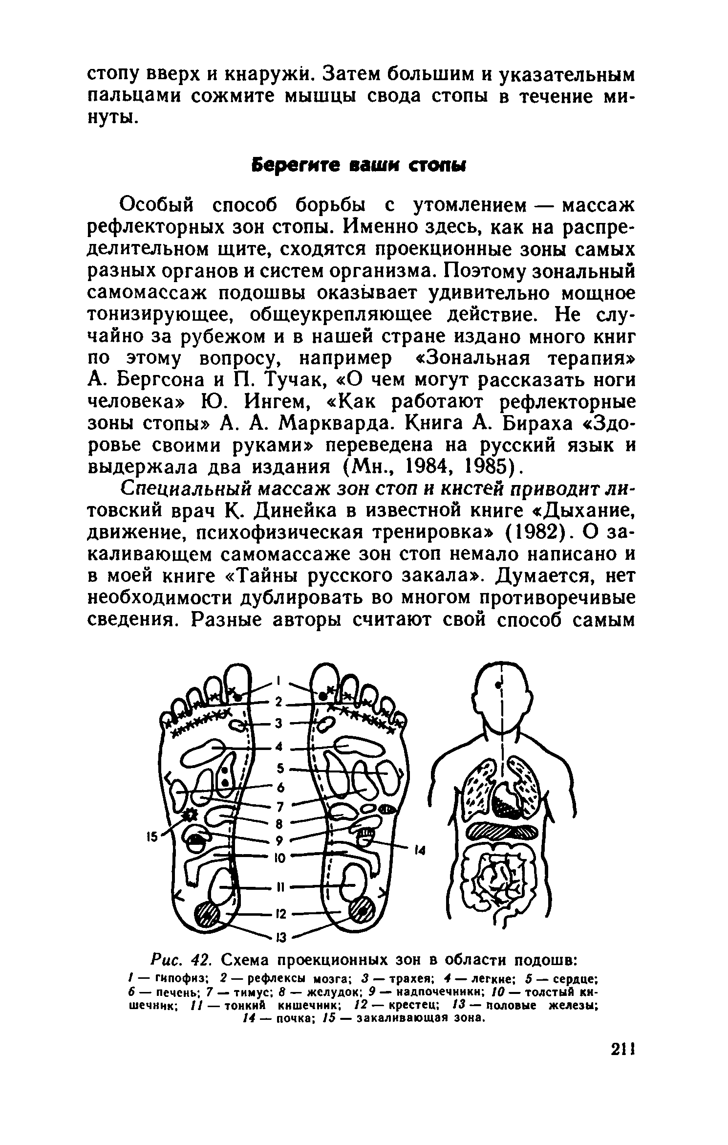 Рис. 42. Схема проекционных зон в области подошв / — гипофиз 2 — рефлексы мозга 3 — трахея 4 — легкие 5 — сердце б — печень 7 — тимус 8 — желудок 9 — надпочечники /0 — толстый кишечник // — тонкий кишечник /2 — крестец 13 — половые железы ...