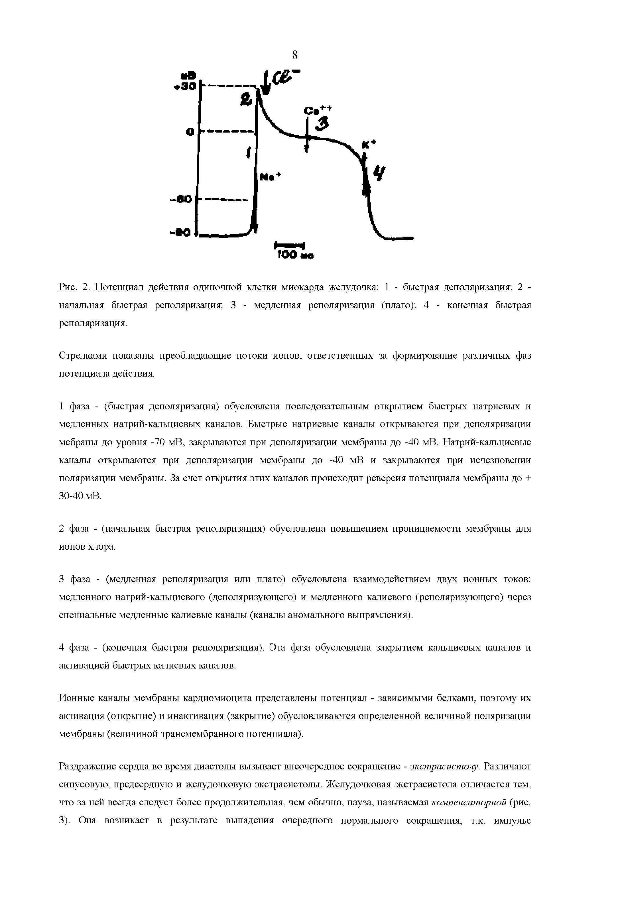 Рис. 2. Потенциал действия одиночной клетки миокарда желудочка 1 - быстрая деполяризация 2 -начальная быстрая реполяризация 3 - медленная реполяризация (плато) 4 - конечная быстрая реполяризация.