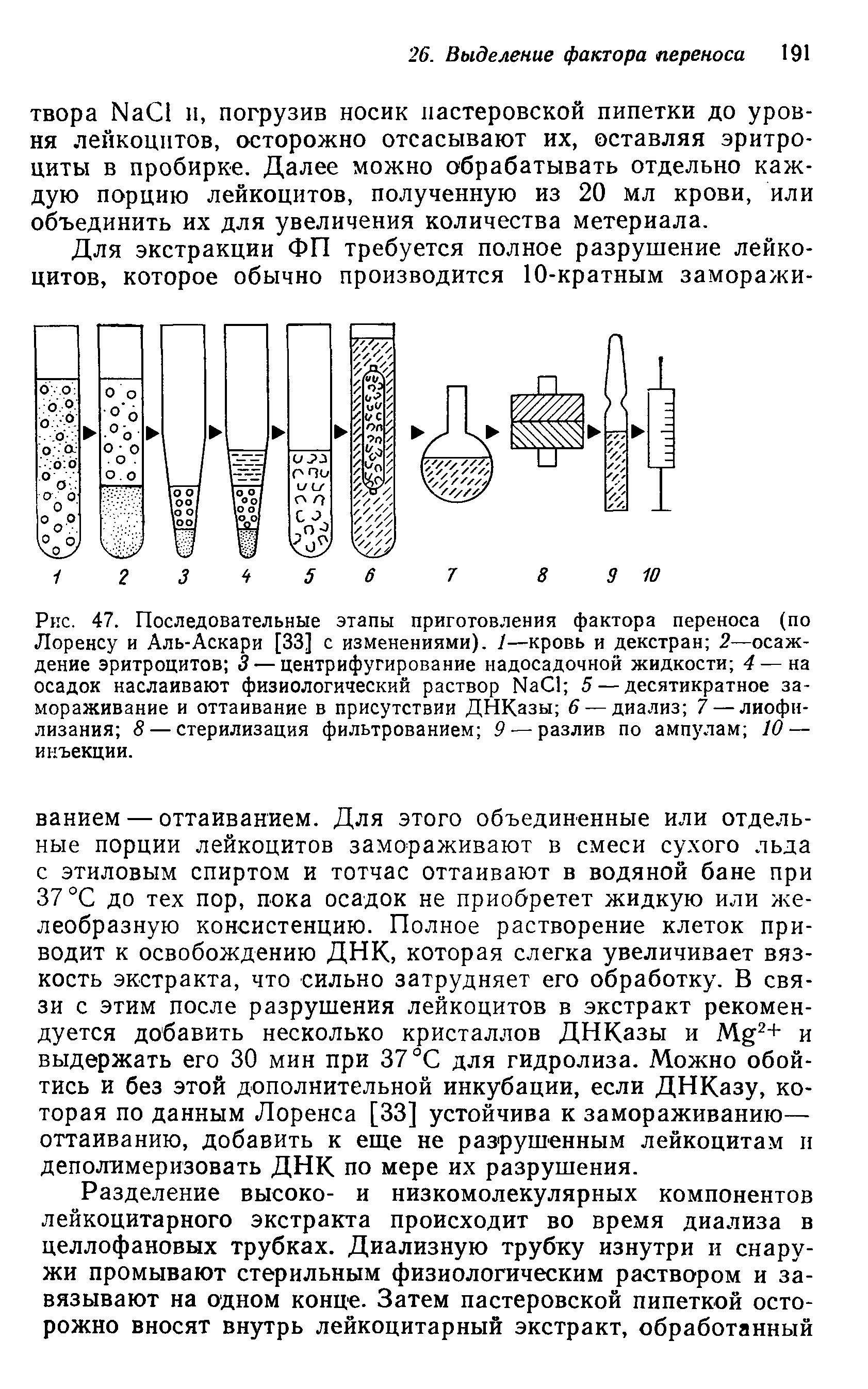 Рис. 47. Последовательные этапы приготовления фактора переноса (по Лоренсу и Аль-Аскари [33] с изменениями). 1—кровь и декстран 2—осаждение эритроцитов 3 — центрифугирование надосадочной жидкости 4 — на осадок наслаивают физиологический раствор Г4аС1 5 — десятикратное замораживание и оттаивание в присутствии ДНКазы 6 — диализ 7 — лиофи-лизания 8 — стерилизация фильтрованием 9-—разлив по ампулам 10 — инъекции.