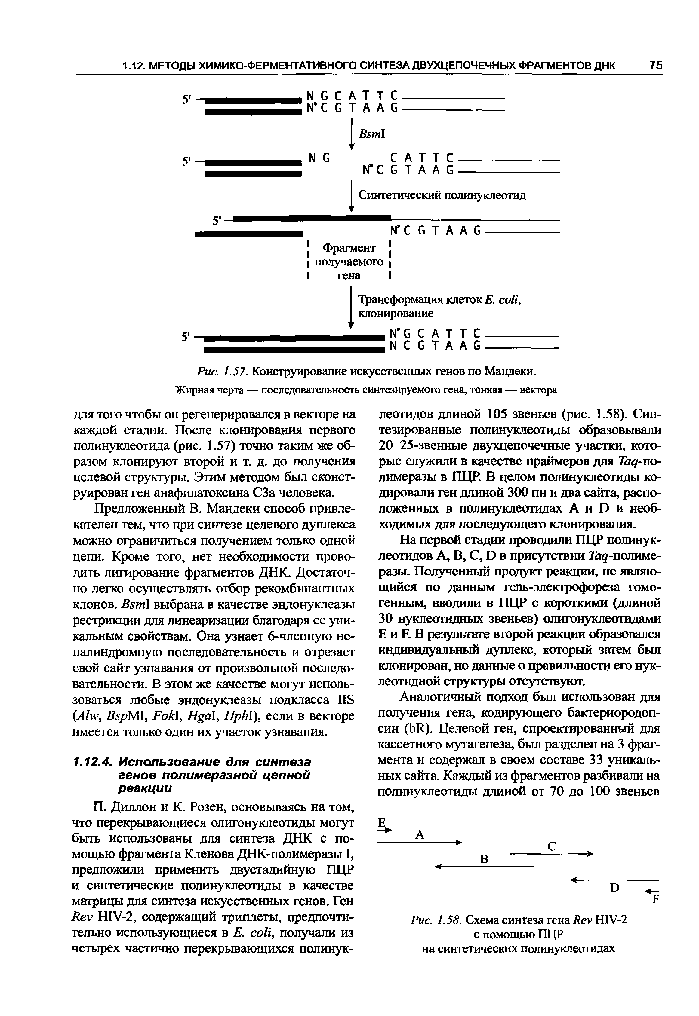 Рис. 1.58. Схема синтеза гена R HIV-2 с помощью ПЦР на синтетических полинуклеотидах...