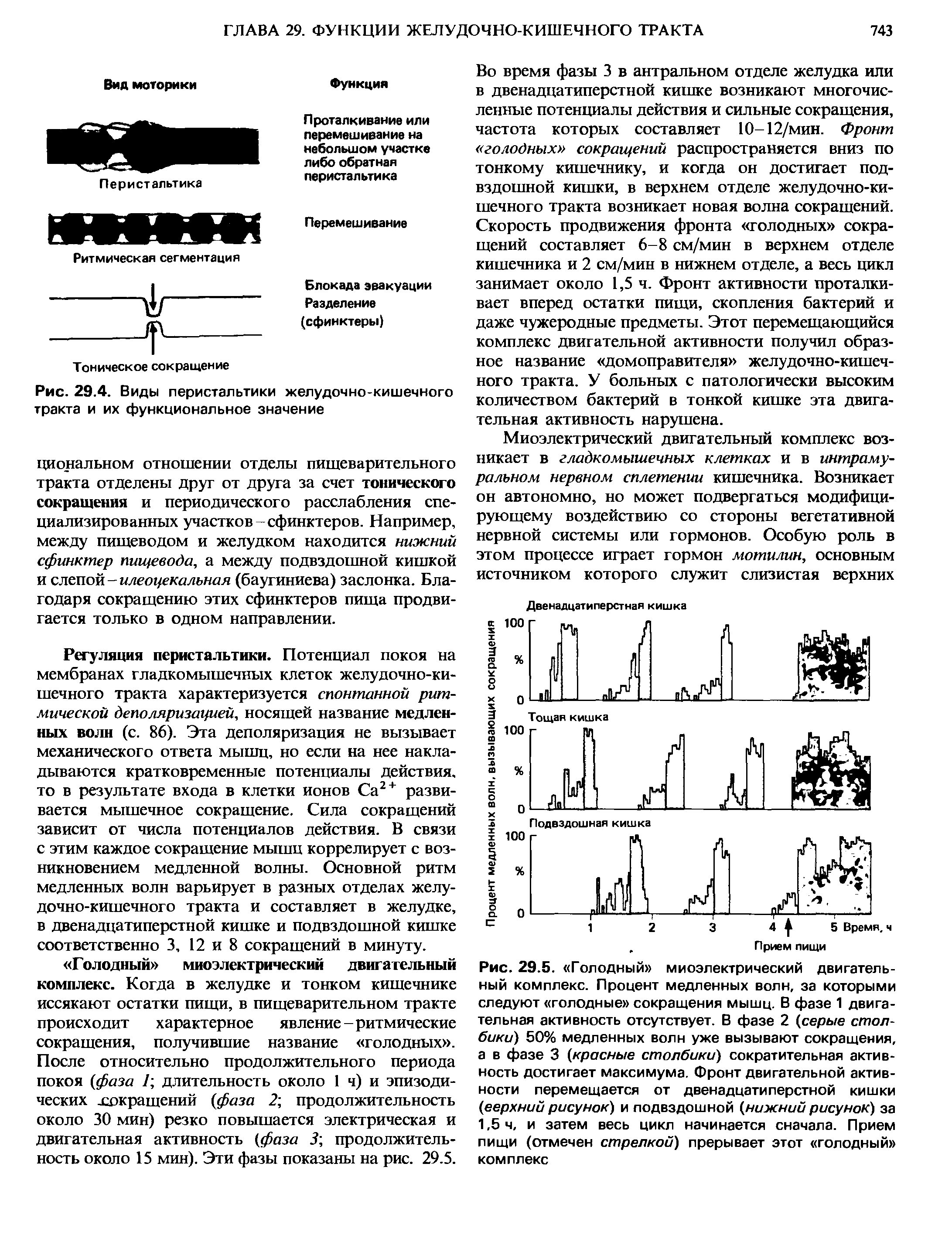 Рис. 29.4. Виды перистальтики желудочно-кишечного тракта и их функциональное значение...