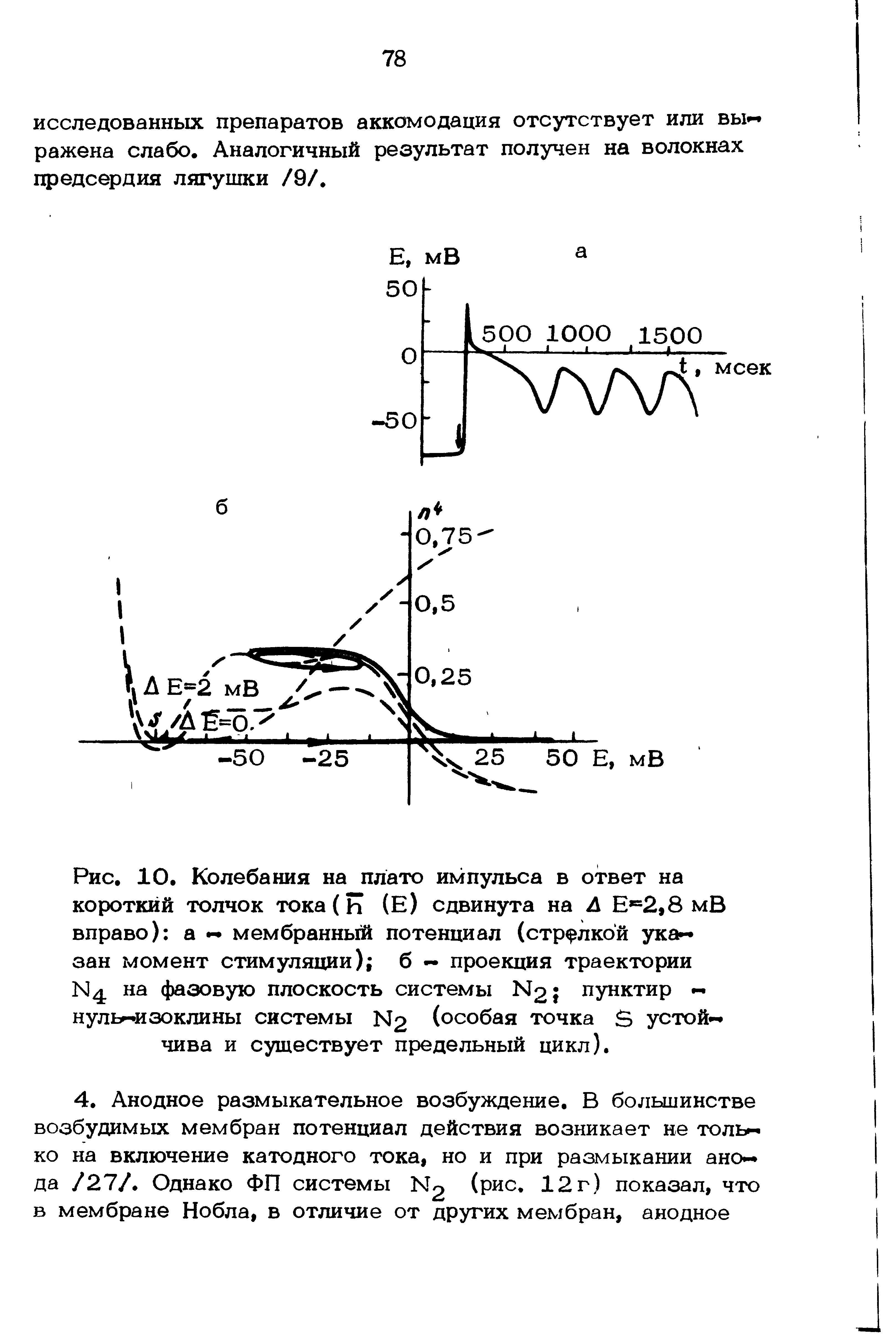 Рис. 10. Колебания на плато импульса в ответ на короткий толчок тока(Ь (Е) сдвинута на Л Е =2,8 мВ вправо) а мембранный потенциал (стрелкой ука зан момент стимуляции) б — проекция траектории N4 на фазовую плоскость системы N2 пунктир нульнизоклины системы N2 (особая точка 5 устой чива и существует предельный цикл).