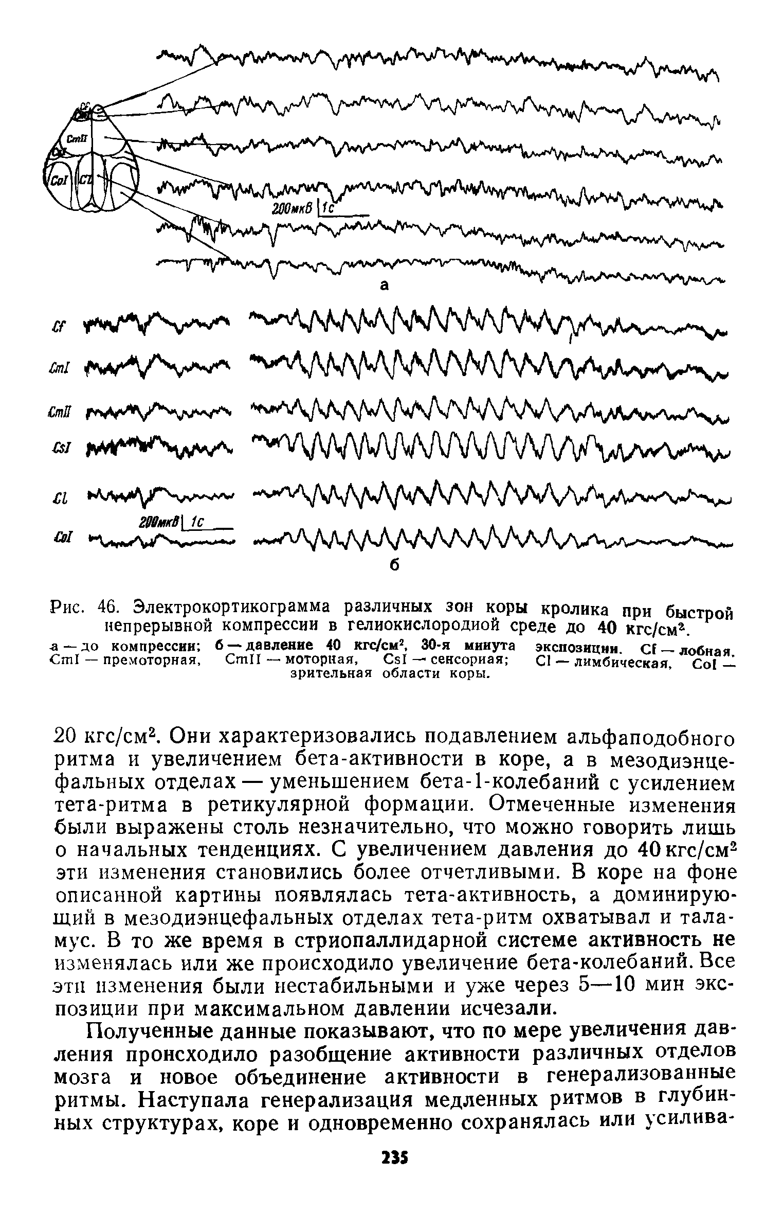 Рис. 46. Электрокортикограмма различных зон коры кролика при быстрой непрерывной компрессии в гелиокислородиой среде до 40 кгс/смг. F а —до компрессии б — давление 40 кгс/см2, 30-я минута экспозиции. C —лобная C — премоторная, C — моторная, C — сенсорная С1 — лимбическая. Со — зрительная области коры.