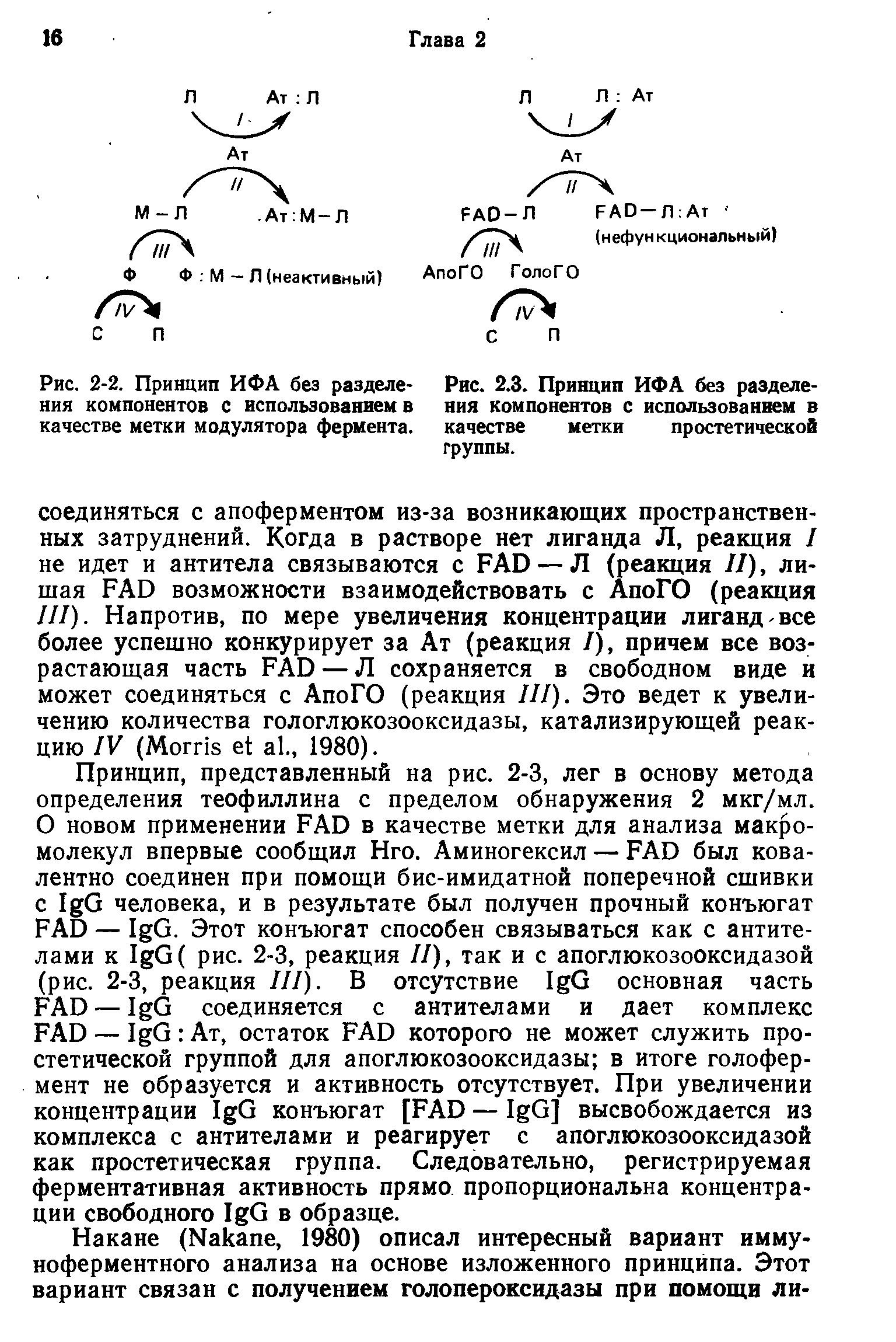 Рис. 2.3. Принцип ИФА без разделения компонентов с использованием в качестве метки простетической группы.