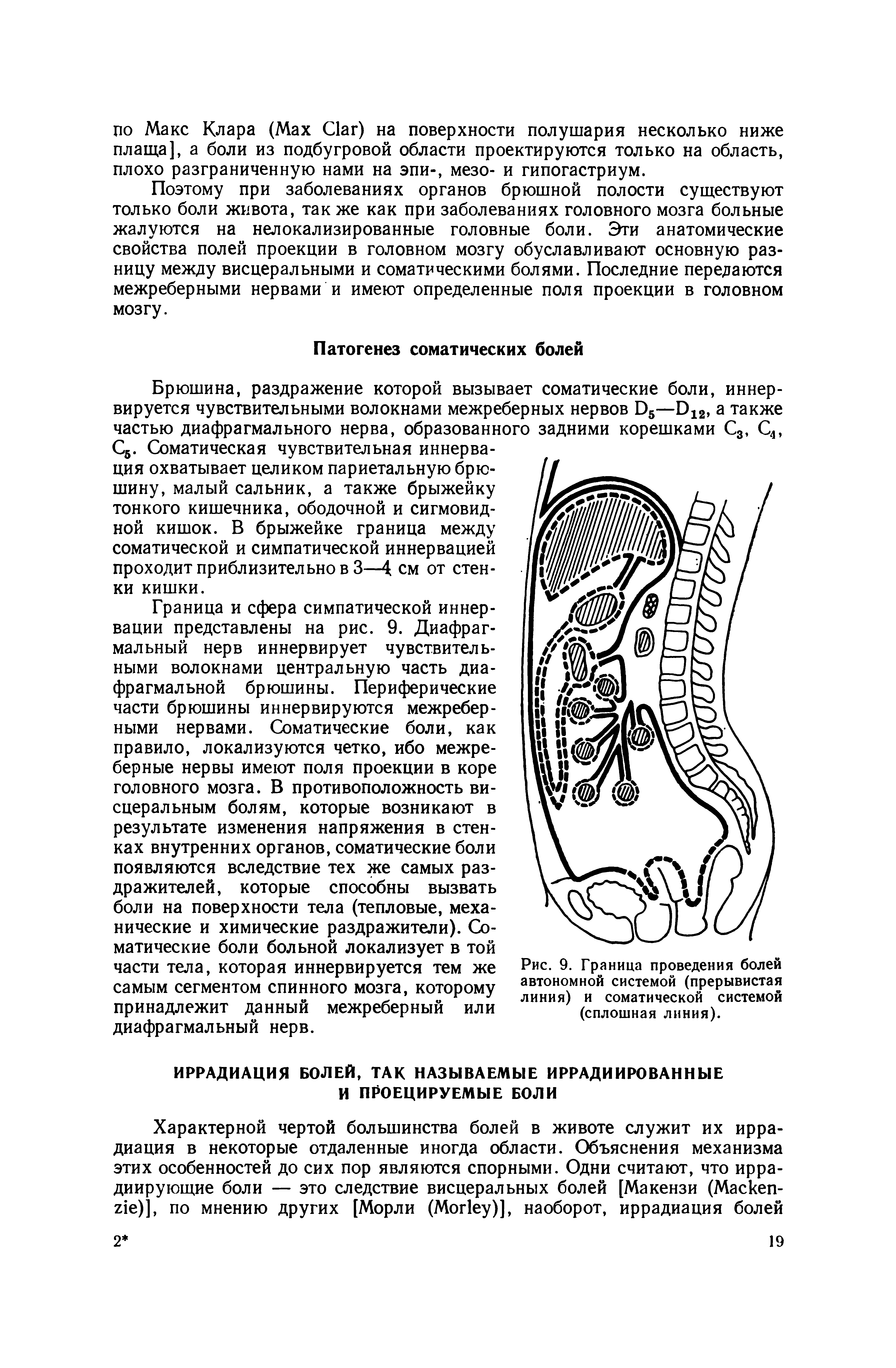 Рис. 9. Граница проведения болей автономной системой (прерывистая линия) и соматической системой (сплошная линия).