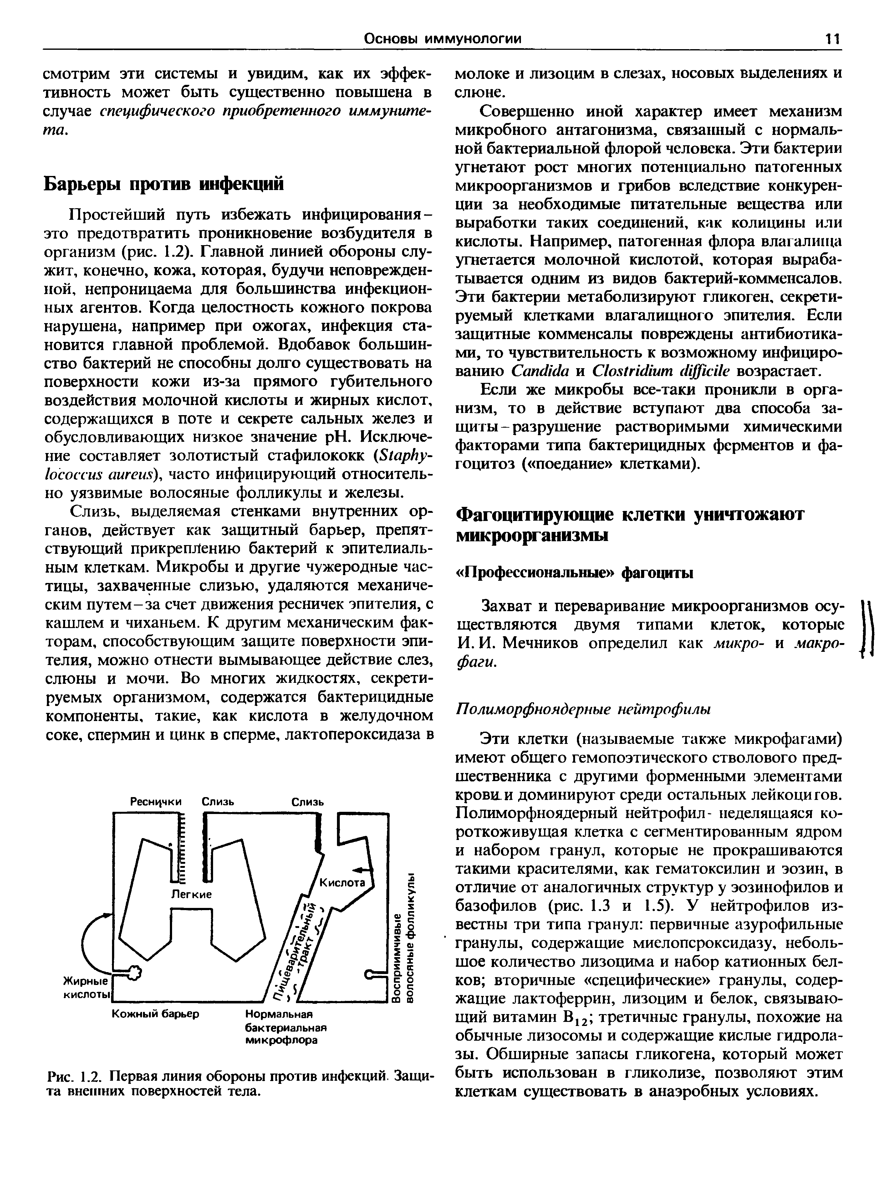 Рис. 1.2. Первая линия обороны против инфекций. Защита внешних поверхностей тела.