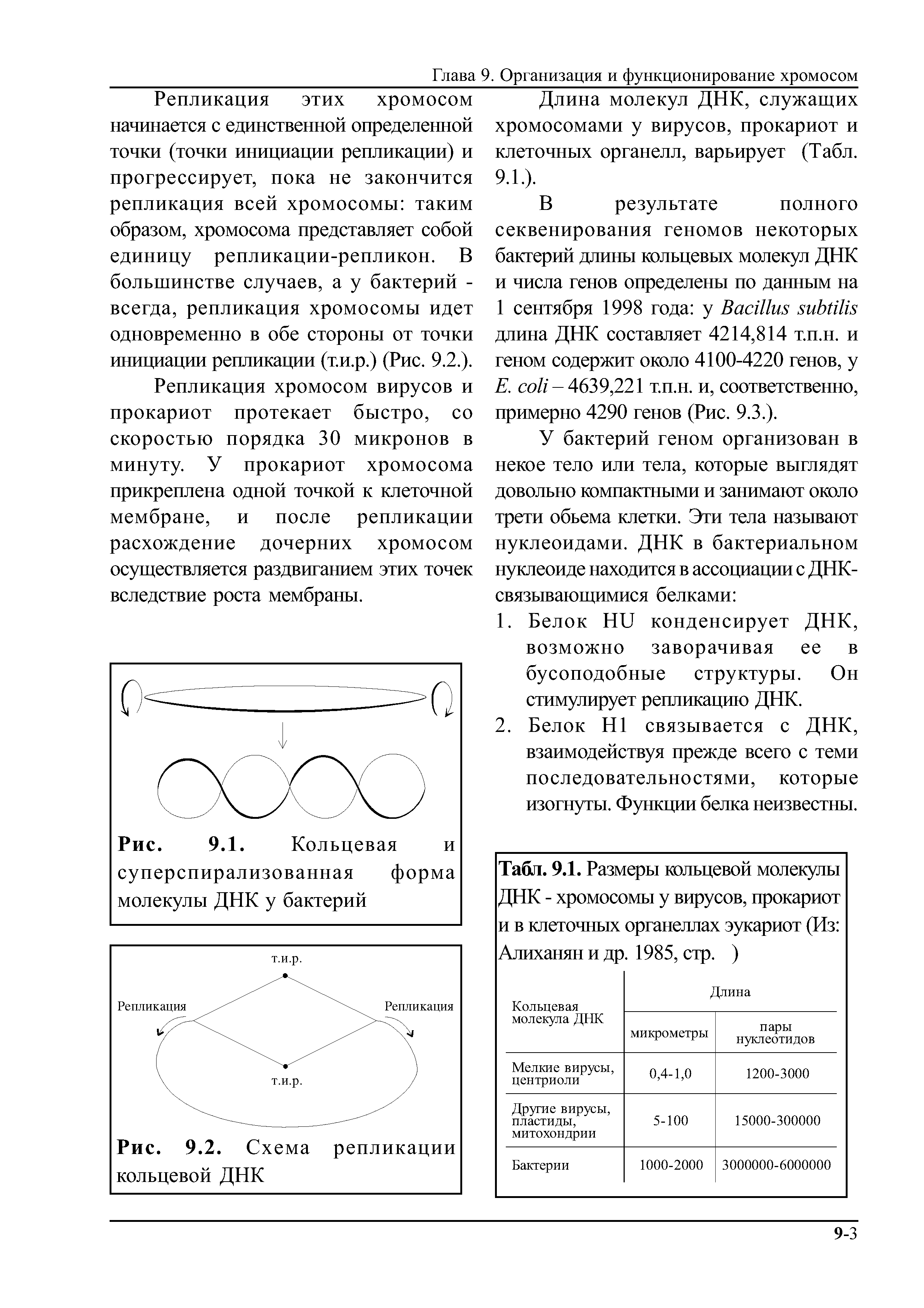 Табл. 9.1. Размеры кольцевой молекулы ДНК - хромосомы у вирусов, прокариот и в клеточных органеллах эукариот (Из Алиханян и др. 1985, стр. )...