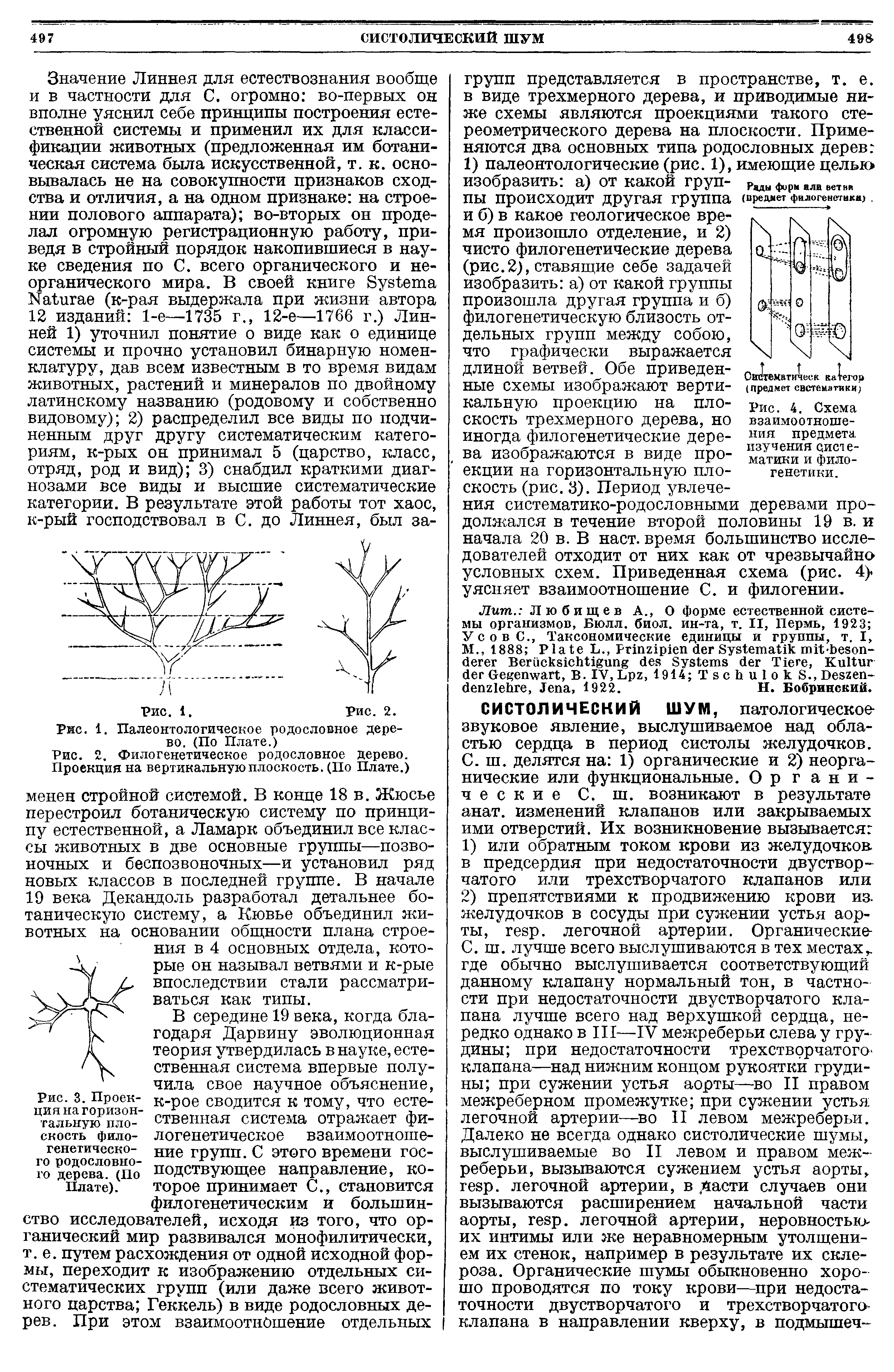 Рис. 2. Филогенетическое родословное дерево. Проекция на вертикальную плоскость. (По Плате.)...