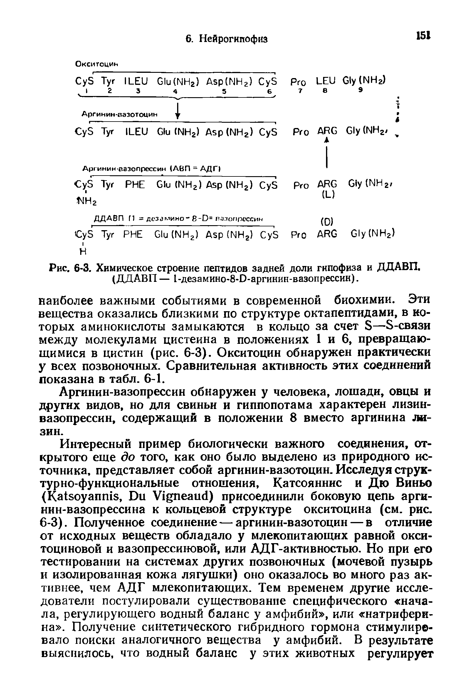 Рис. 6-3. Химическое строение пептидов задней доли гипофиза и ДДАВП. ...