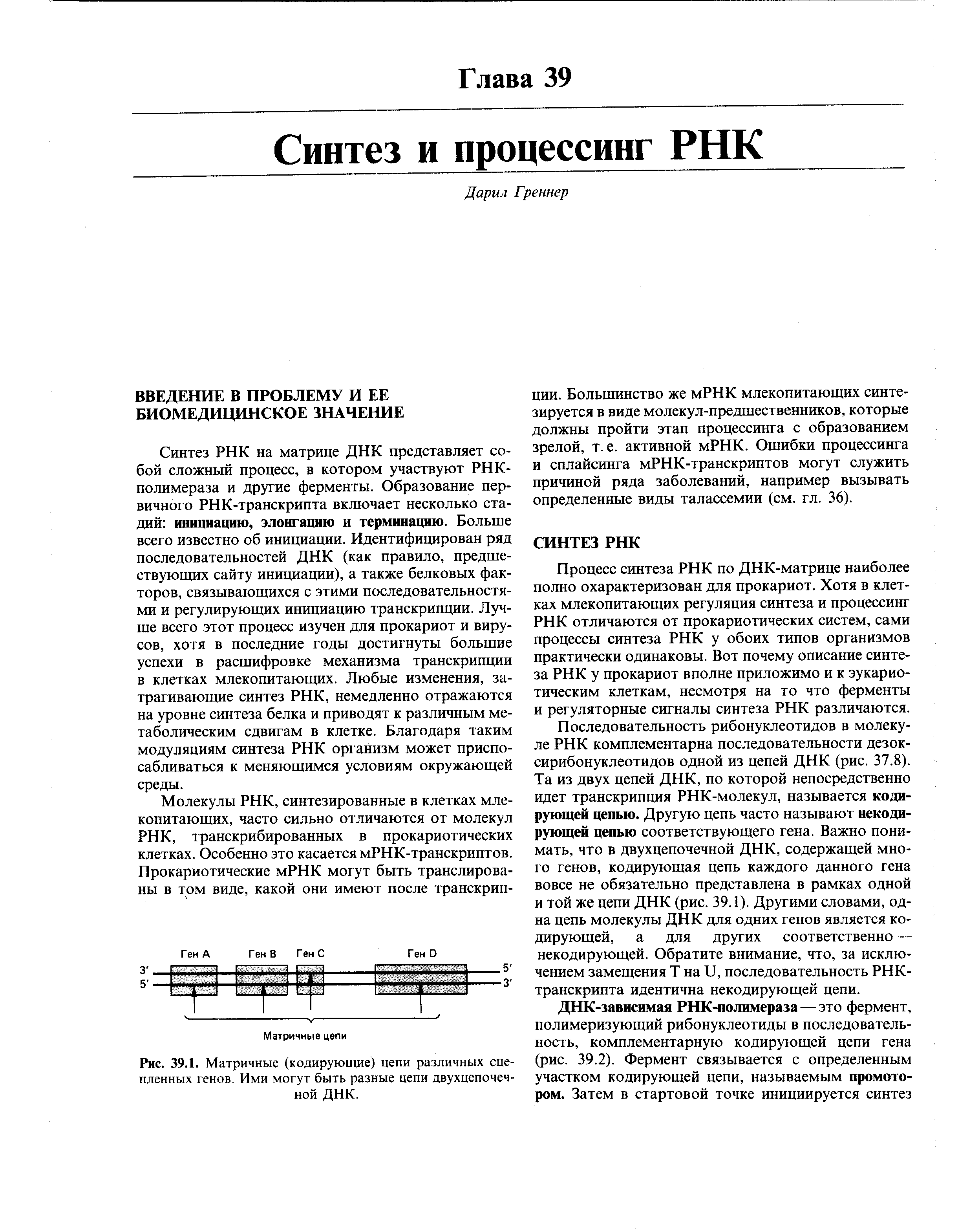 Рис. 39.1. Матричные (кодирующие) цепи различных сцепленных генов. Ими могут быть разные цепи двухцепочечной ДНК.