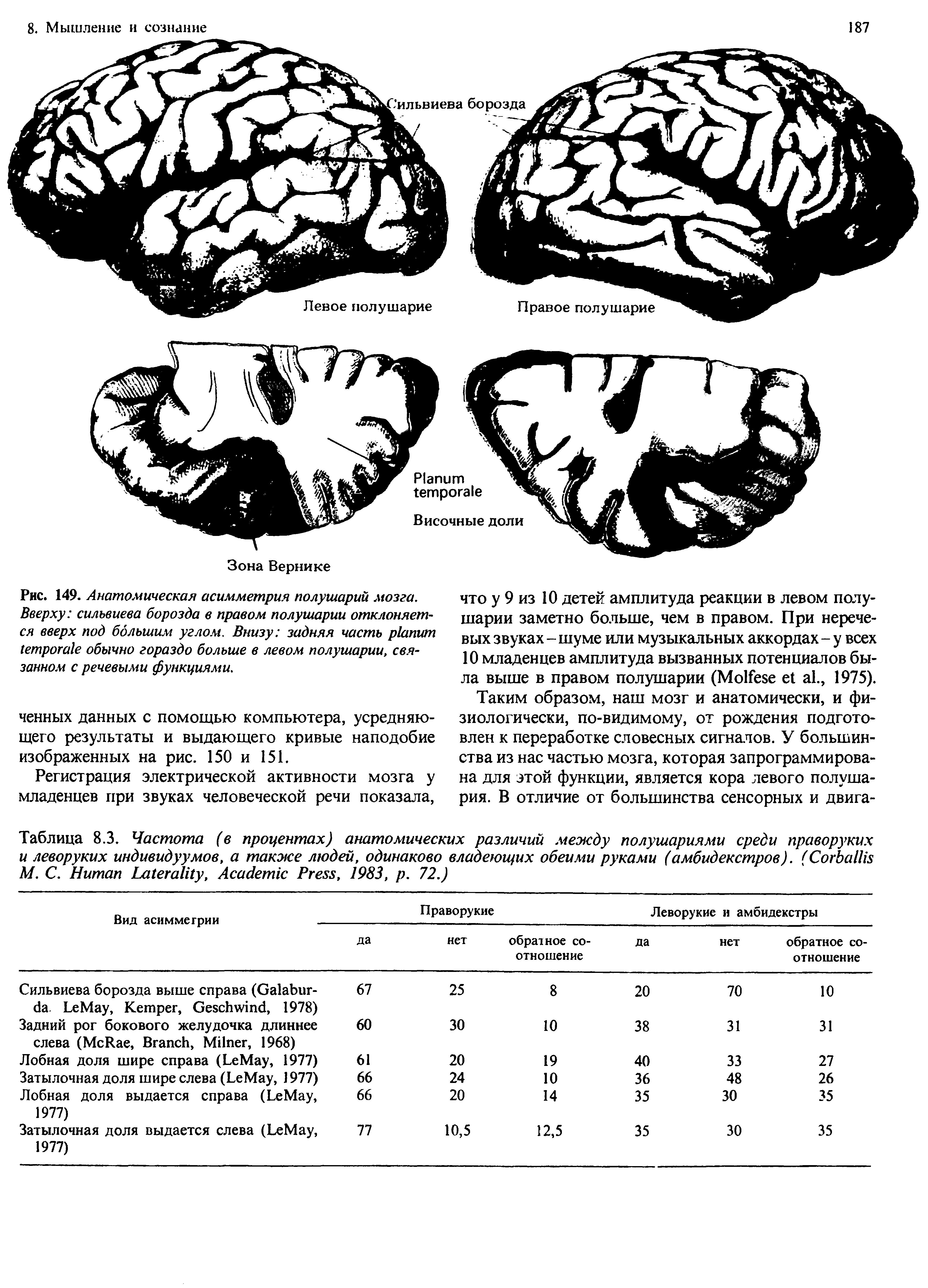 Таблица 8.3. Частота (в процентах) анатомических различий между полушариями среди праворуких и леворуких индивидуумов, а также людей, одинаково владеющих обеими руками (амбидекстров). (C М. С. H L , A P , 1983, . 72.)...