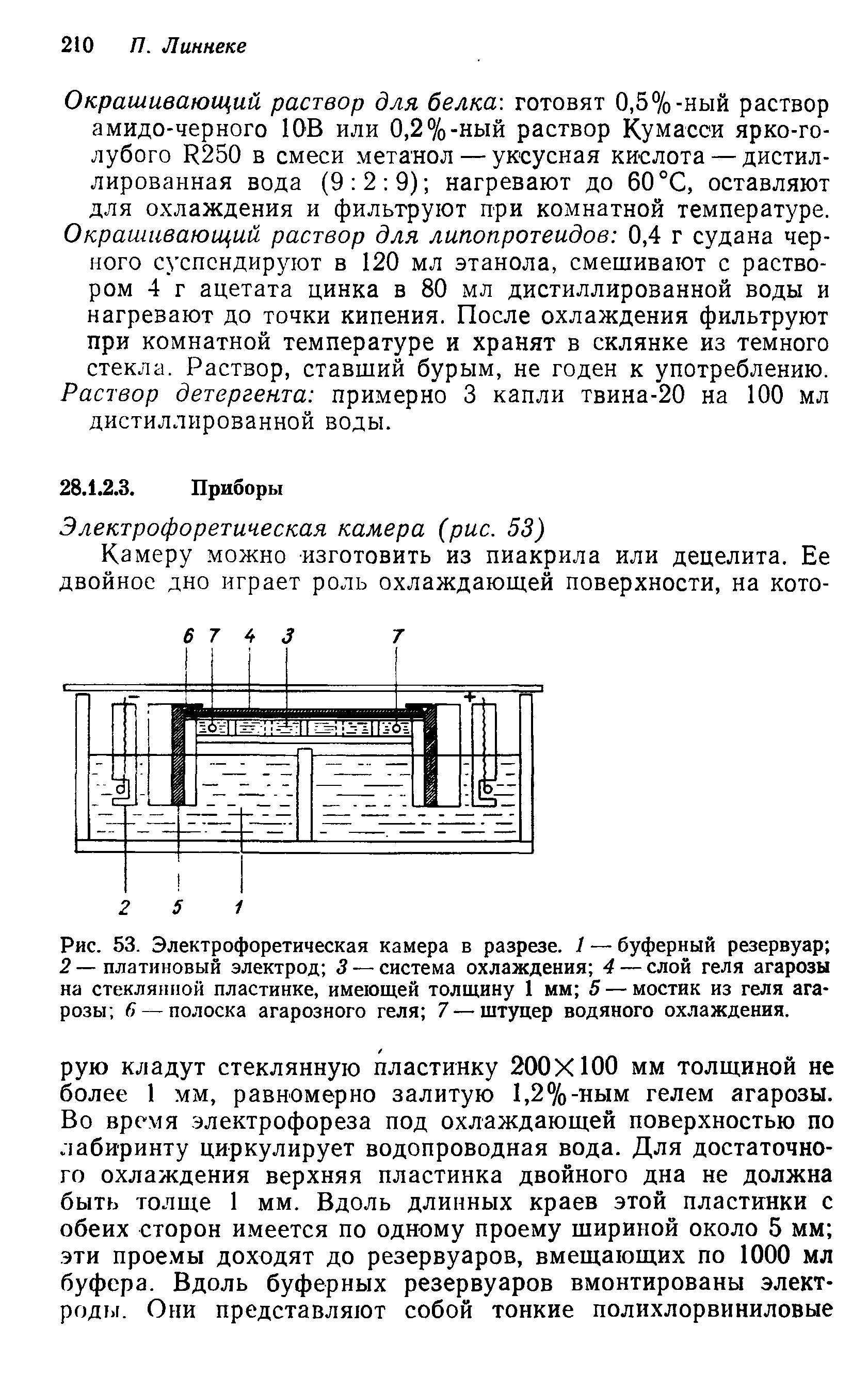 Рис. 53. Электрофоретическая камера в разрезе. 1 — буферный резервуар 2 — платиновый электрод 3 — система охлаждения 4 — слой геля агарозы на стеклянной пластинке, имеющей толщину 1 мм 5 — мостик из геля агарозы 6 — полоска агарозного геля 7 — штуцер водяного охлаждения.