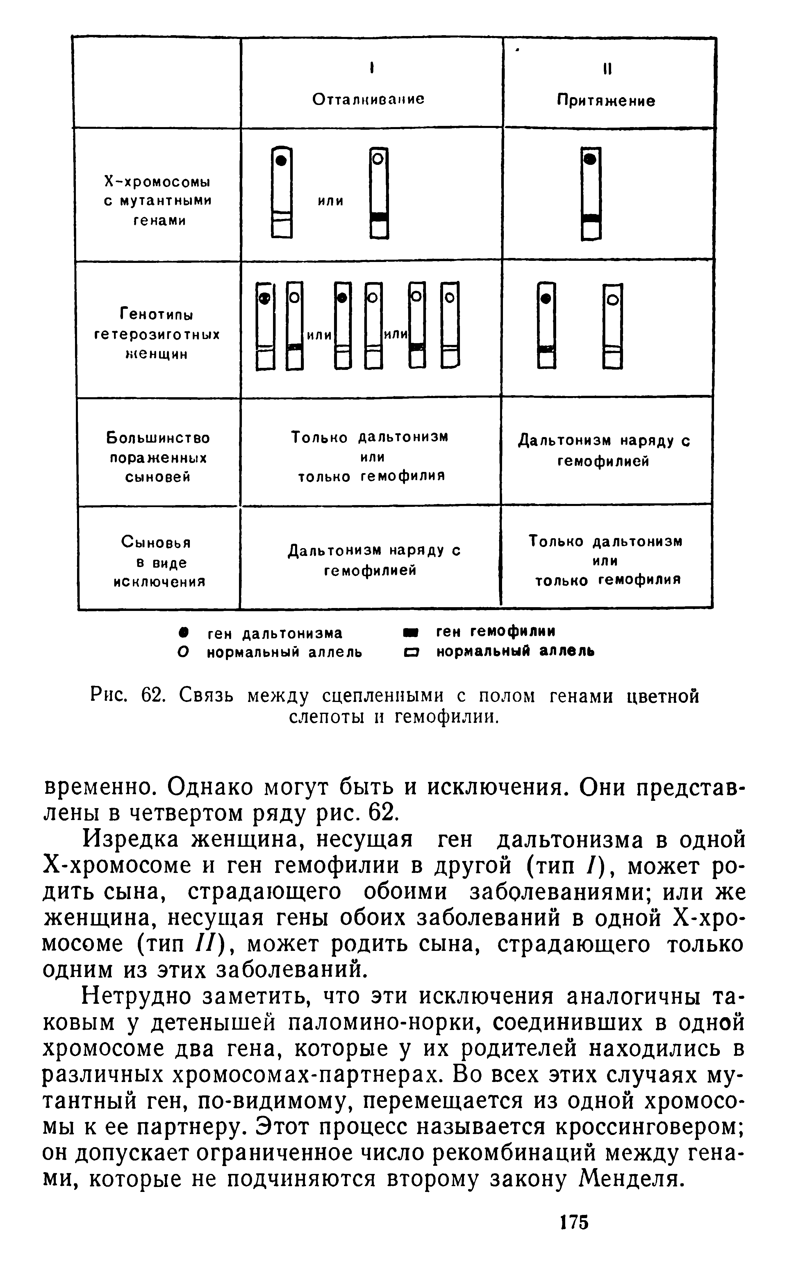 Рис. 62. Связь между сцепленными с полом генами цветной слепоты и гемофилии.