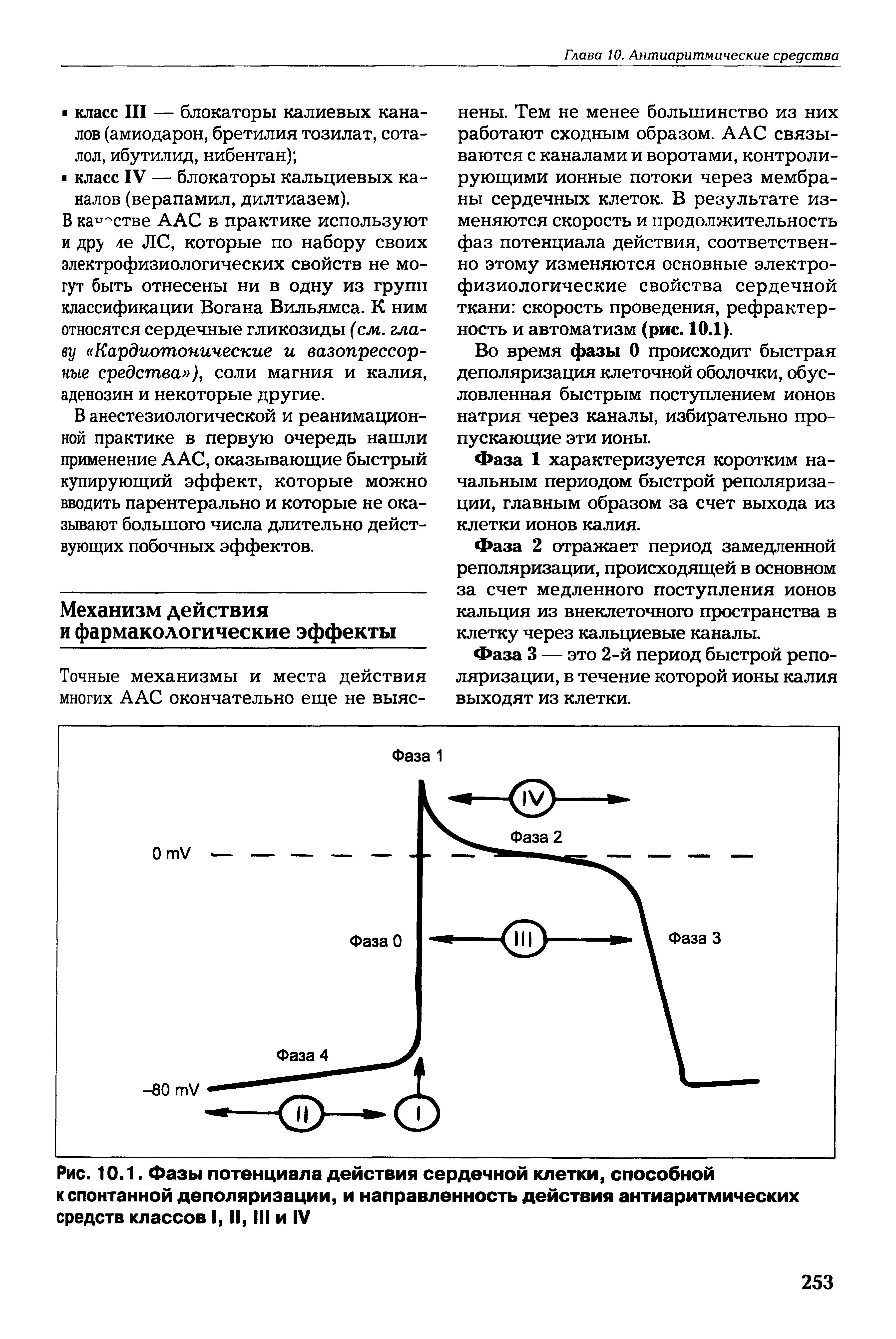 Рис. 10.1. Фазы потенциала действия сердечной клетки, способной к спонтанной деполяризации, и направленность действия антиаритмических средств классов I, II, III и IV...