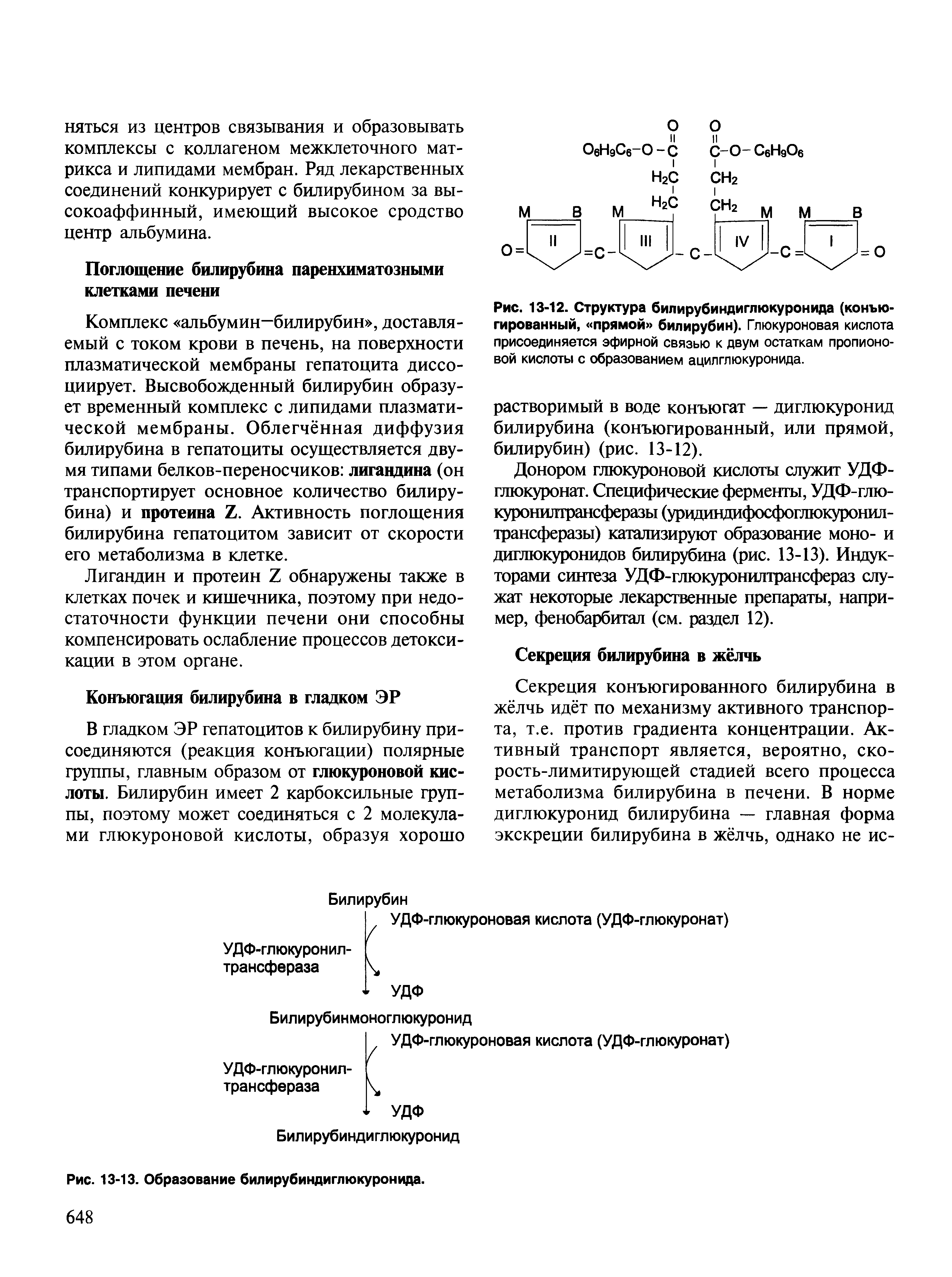 Рис. 13-12. Структура билирубиндиглюкуронида (конъюгированный, прямой билирубин). Глюкуроновая кислота присоединяется эфирной связью к двум остаткам пропионовой кислоты с образованием ацилглюкуронида.