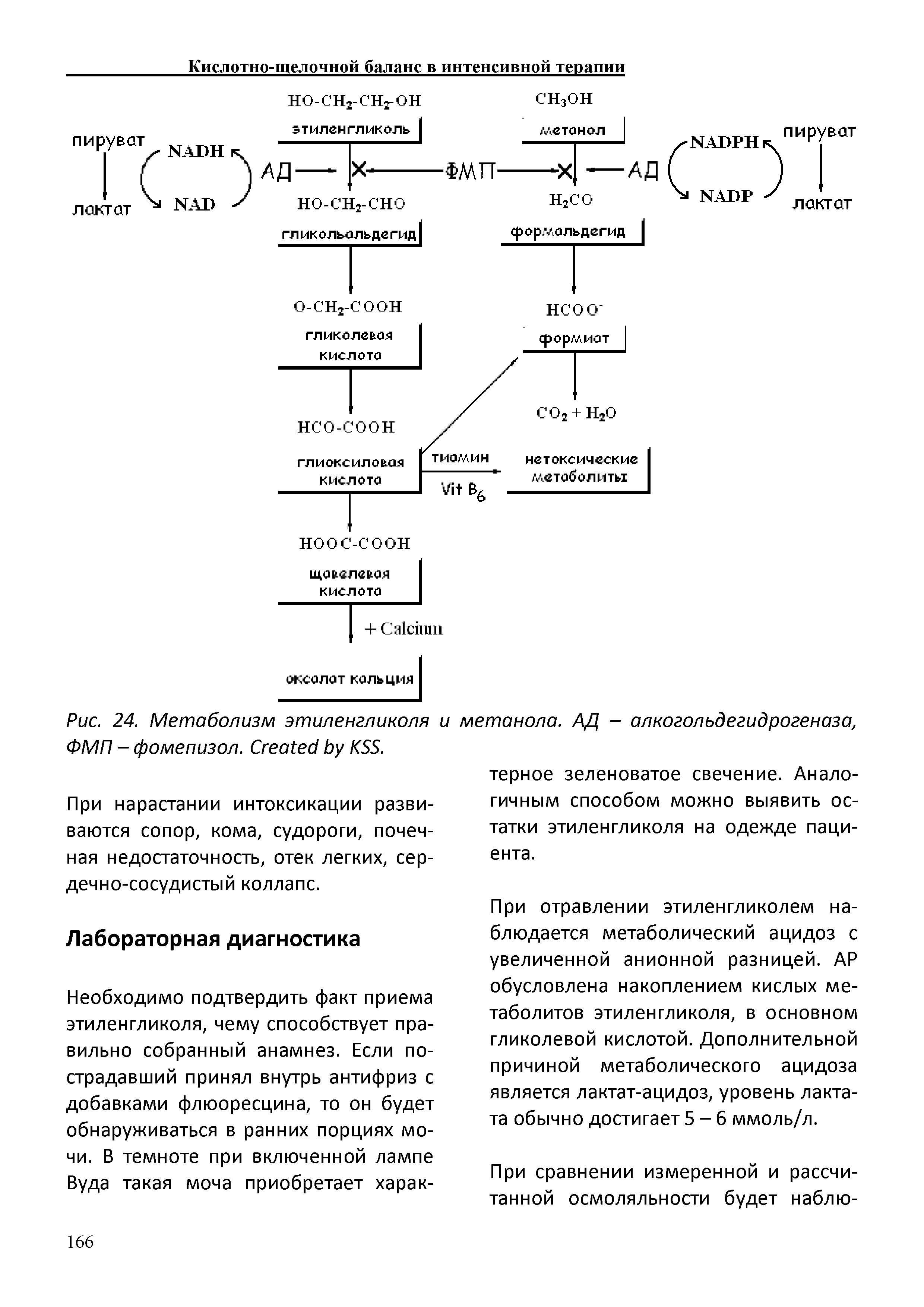 Рис. 24. Метаболизм этиленгликоля и метанола. АД - алкогольдегидрогеназа, ФМП - фомепизол. C KSS.